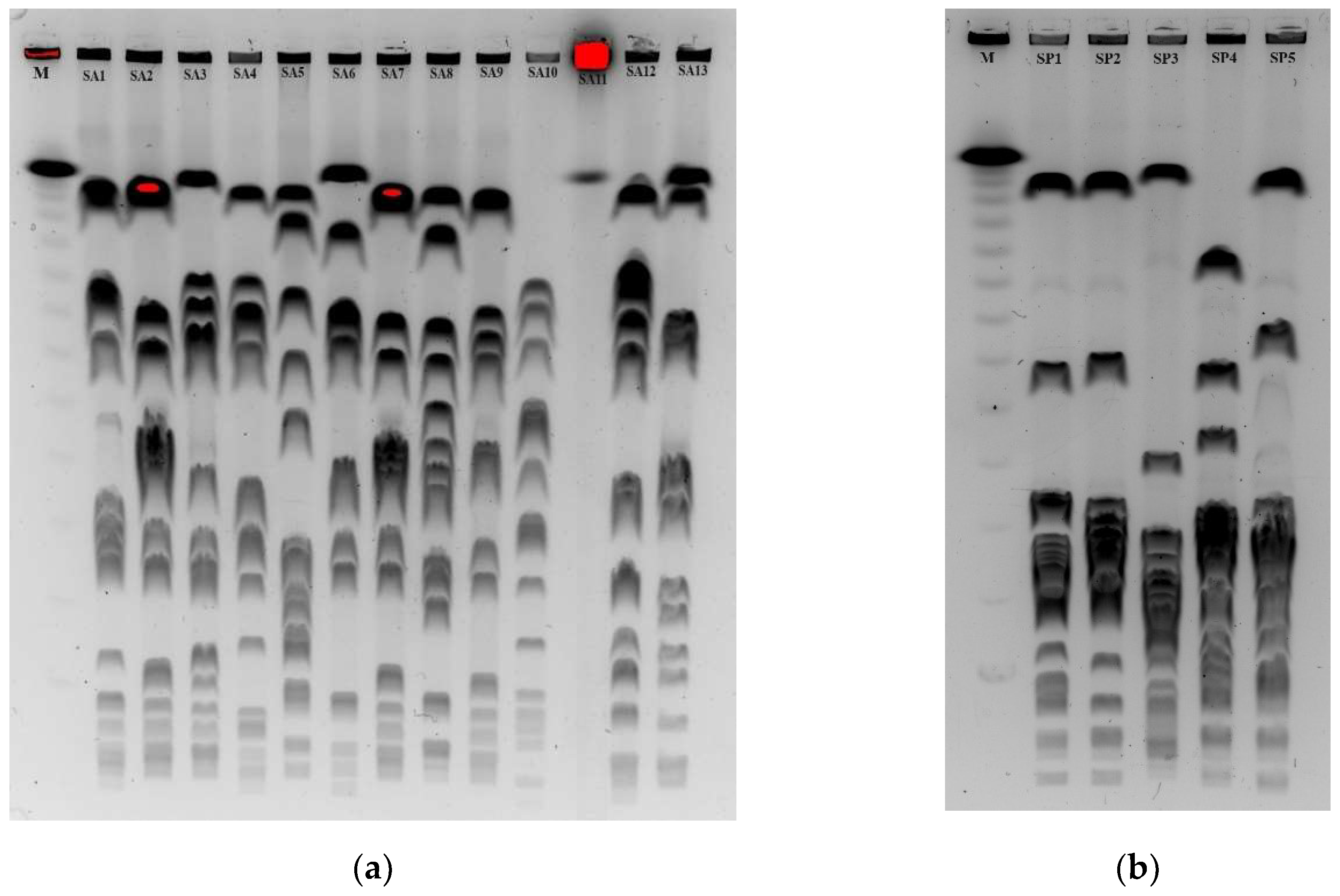 Preprints 95797 g002