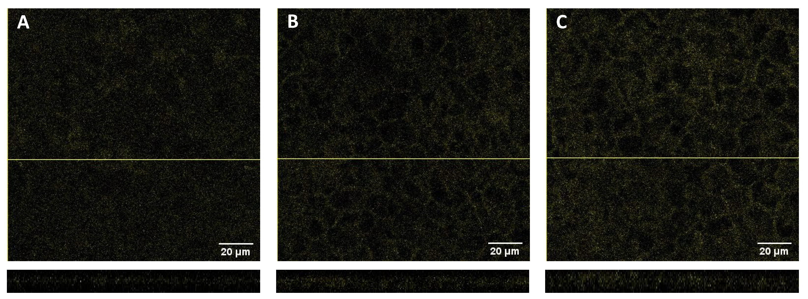 Preprints 107826 g005