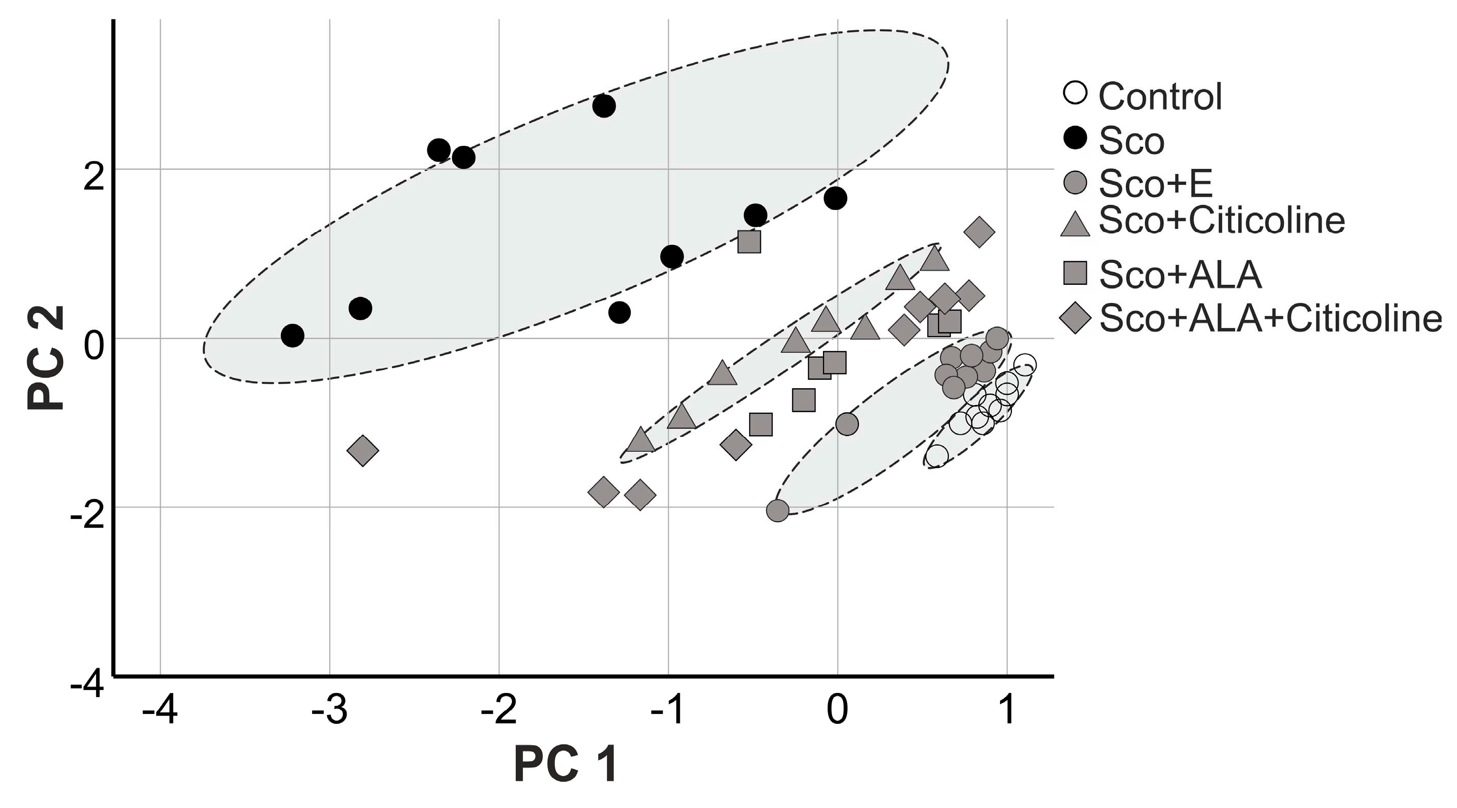 Preprints 89531 g011