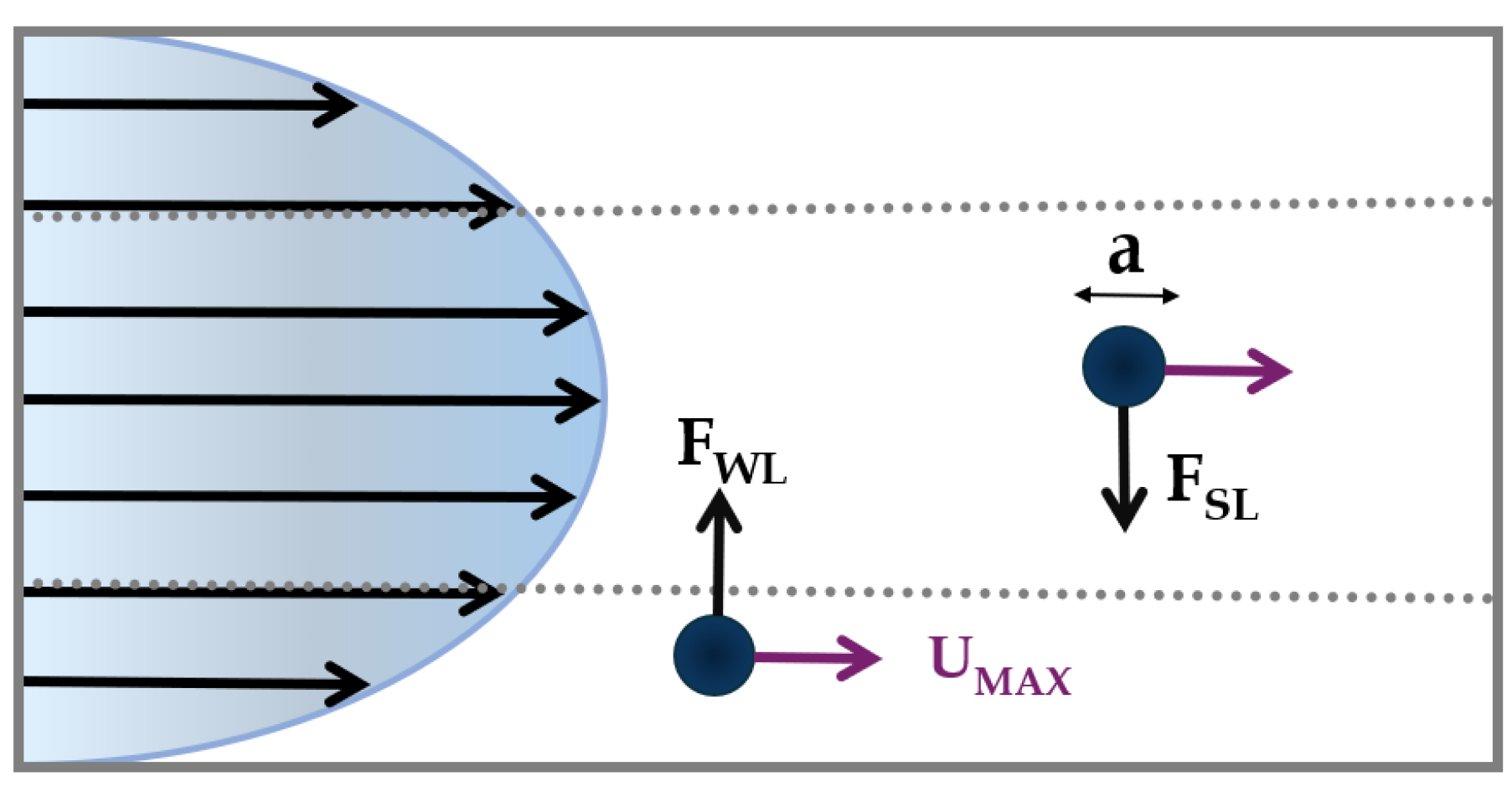 Preprints 112574 g002