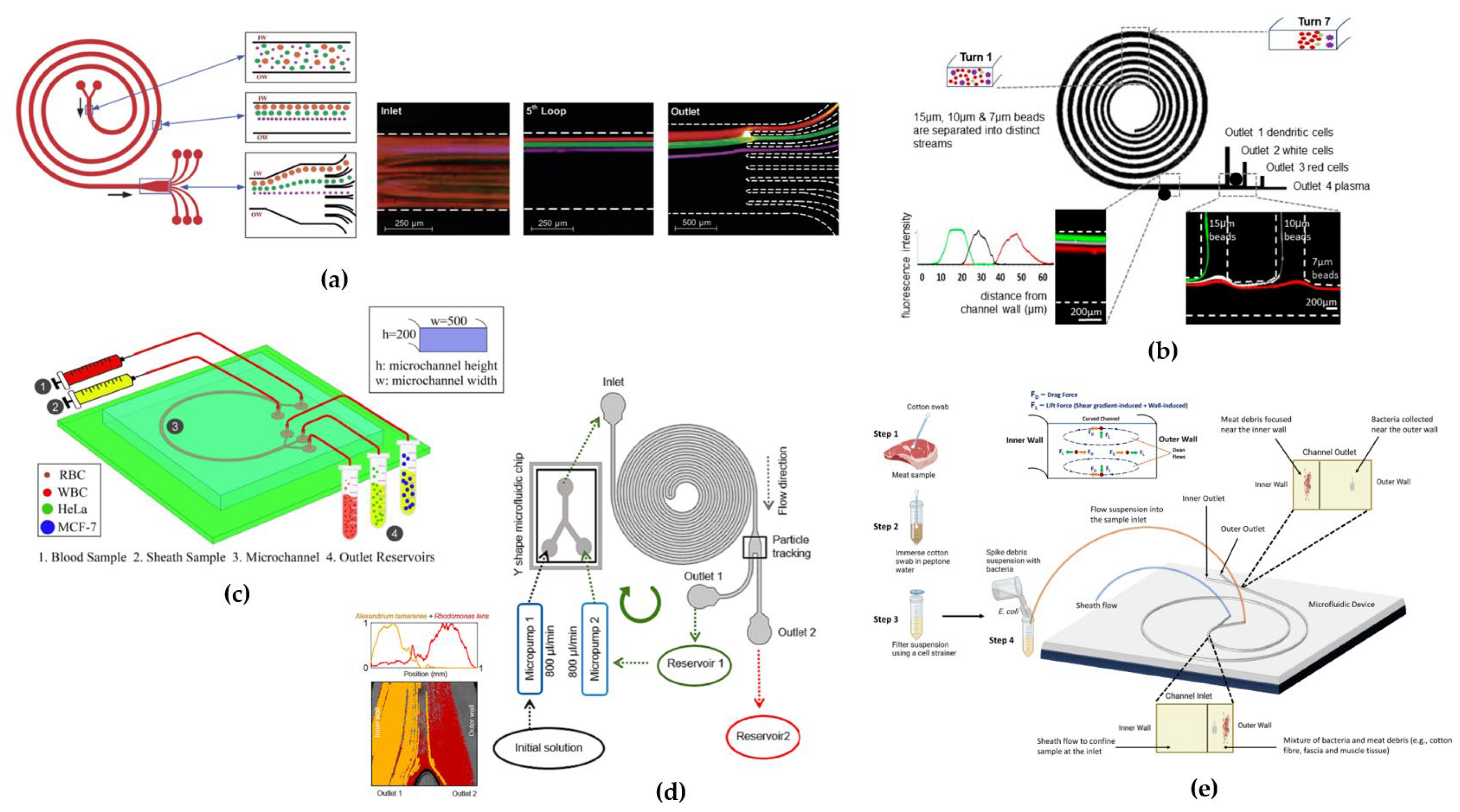 Preprints 112574 g006