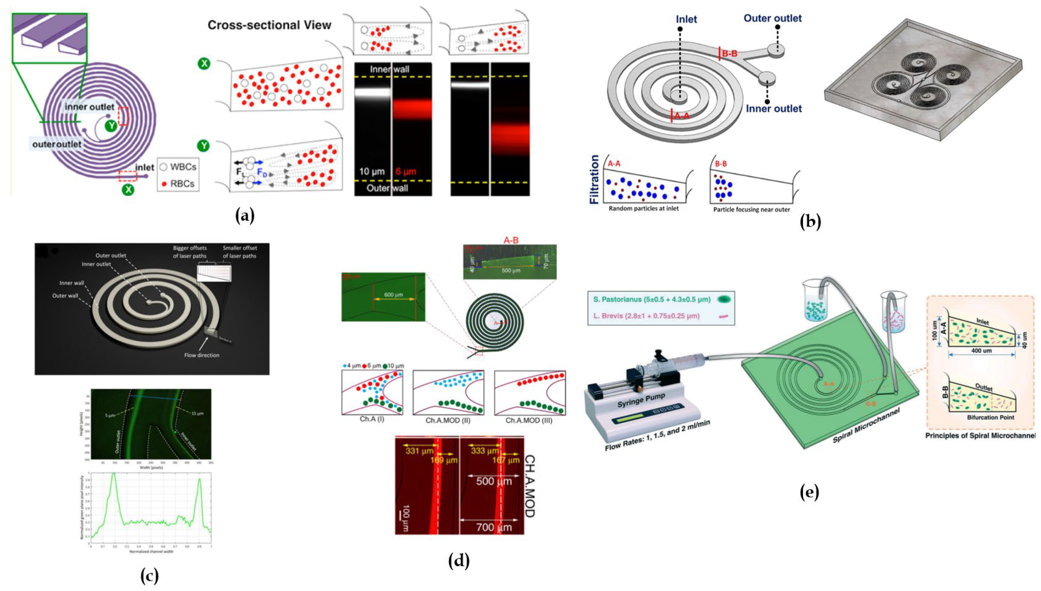 Preprints 112574 g007