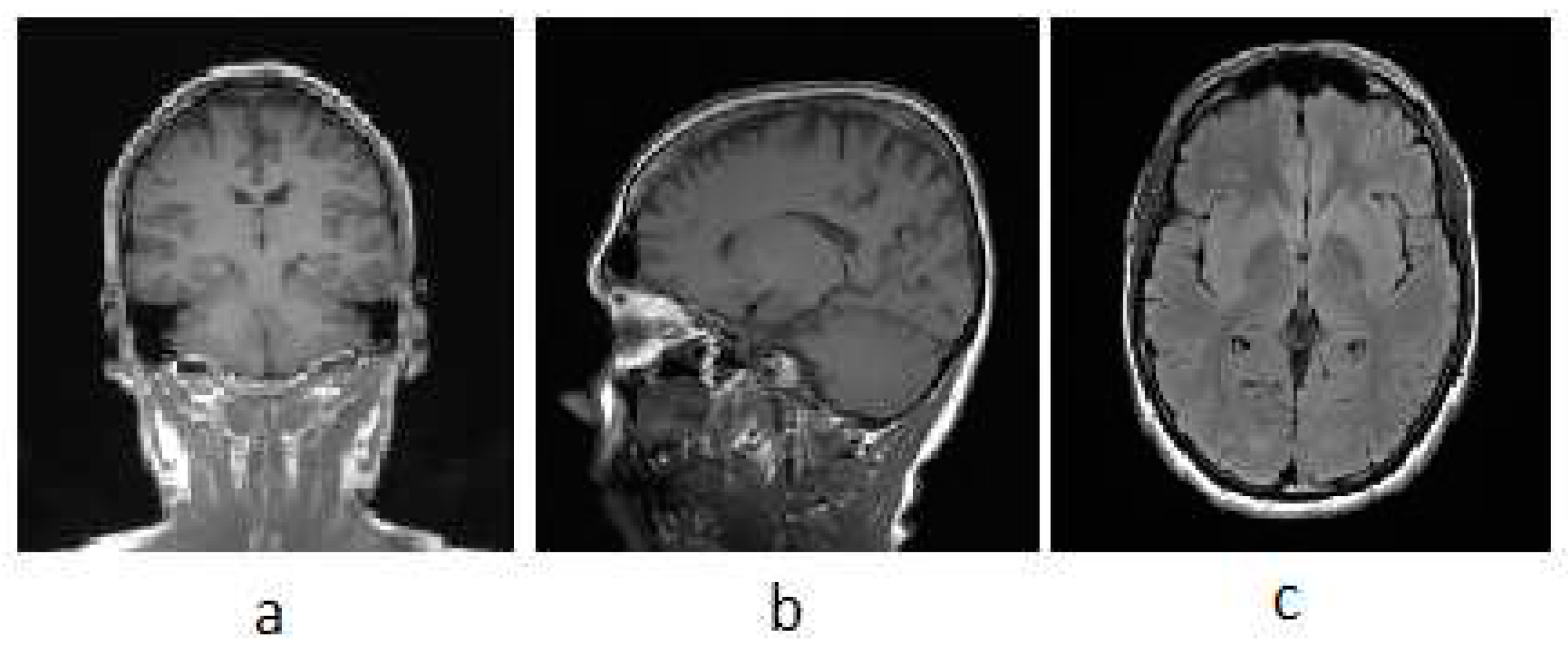 Preprints 78118 g003