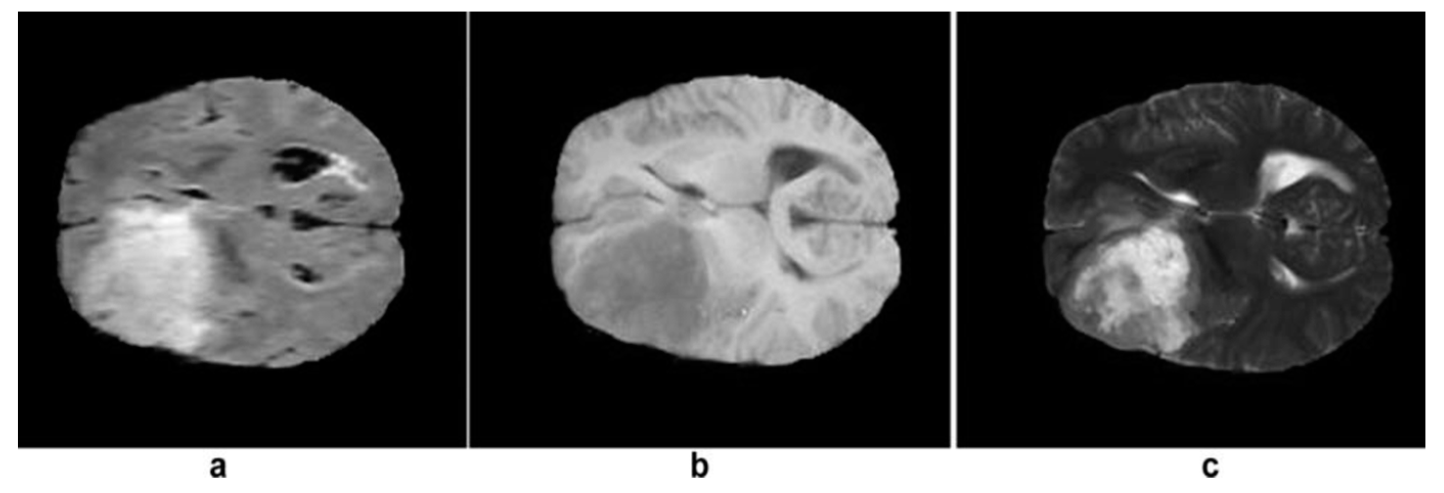 Preprints 78118 g004