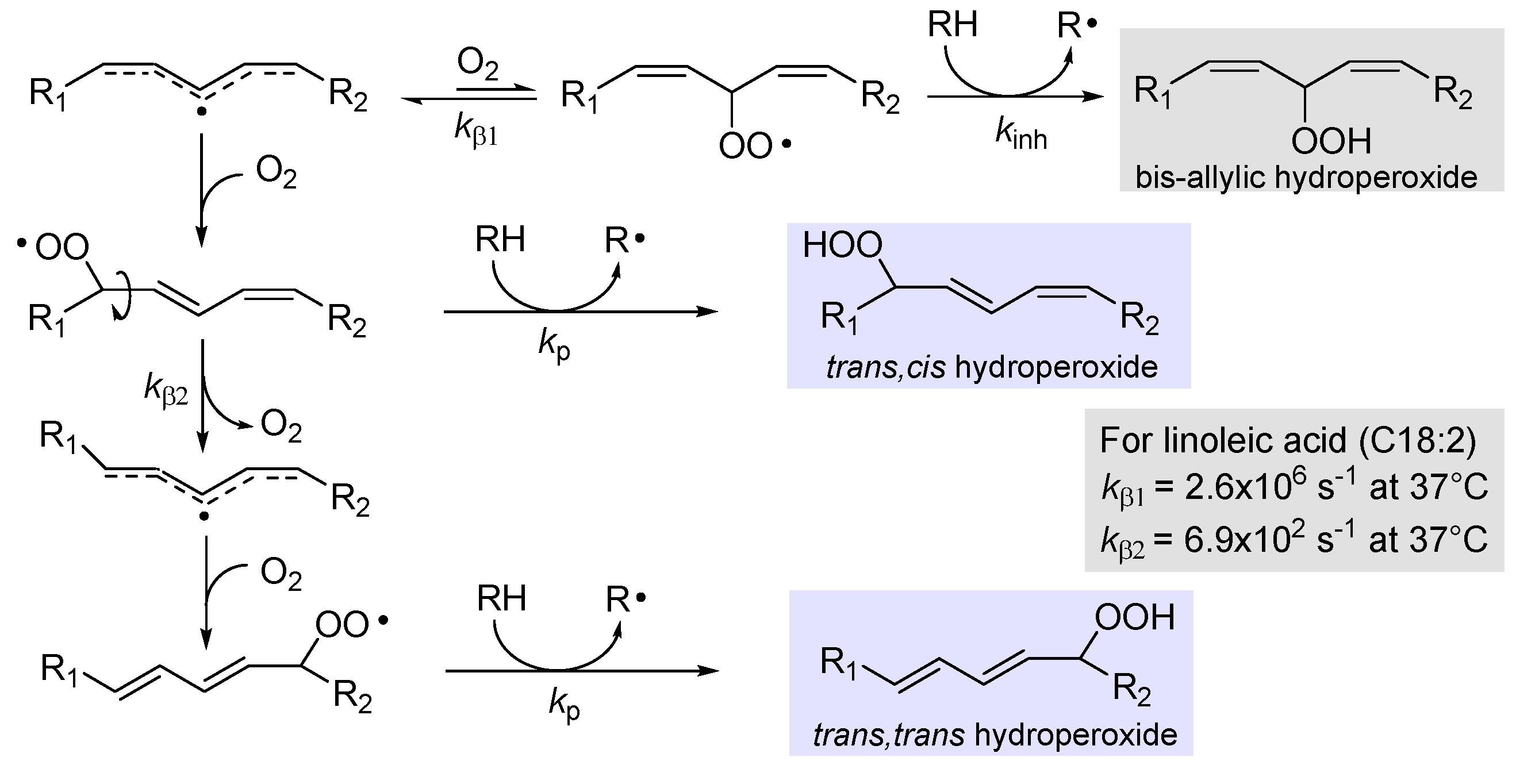 Preprints 79551 g002