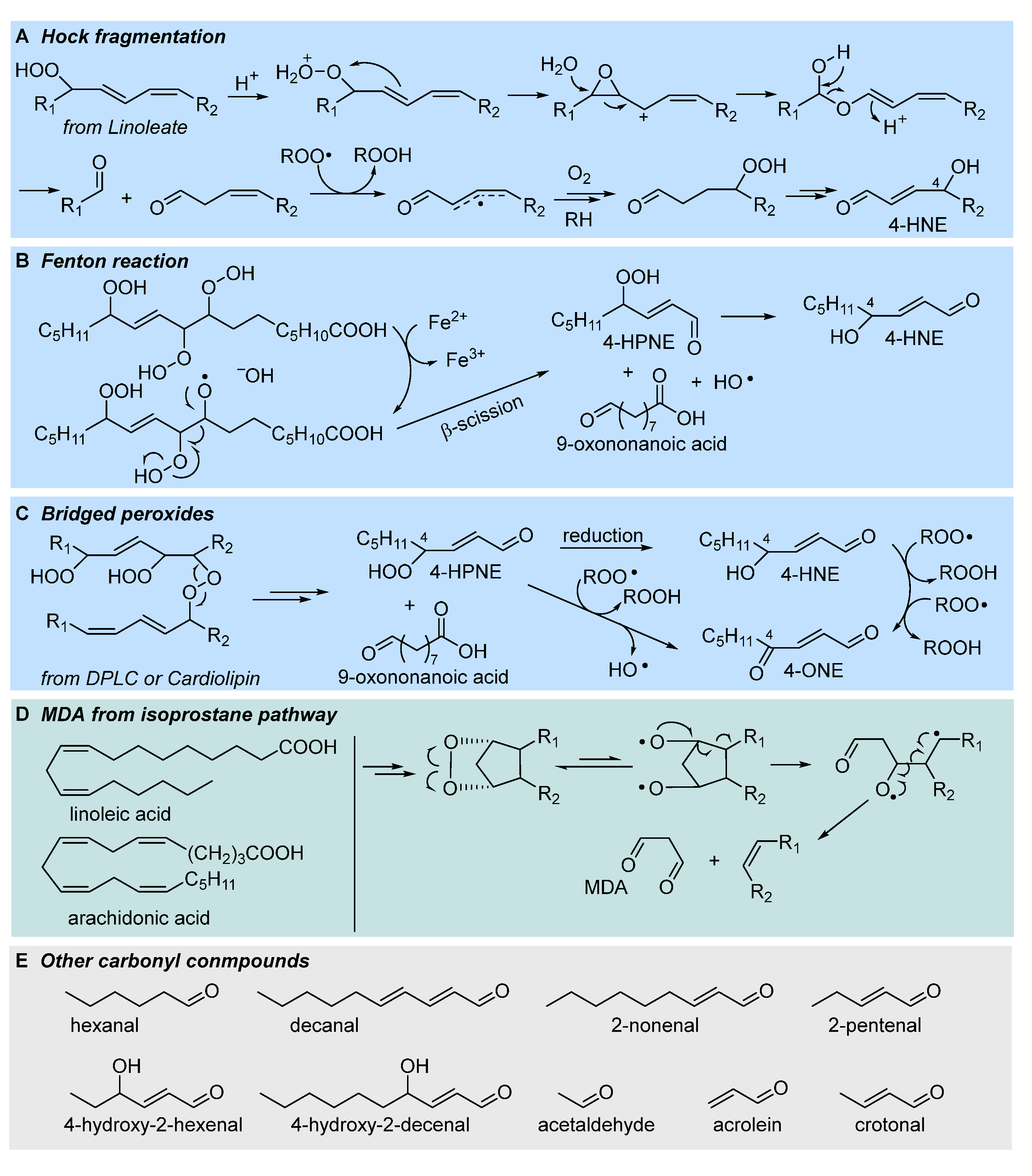 Preprints 79551 g007