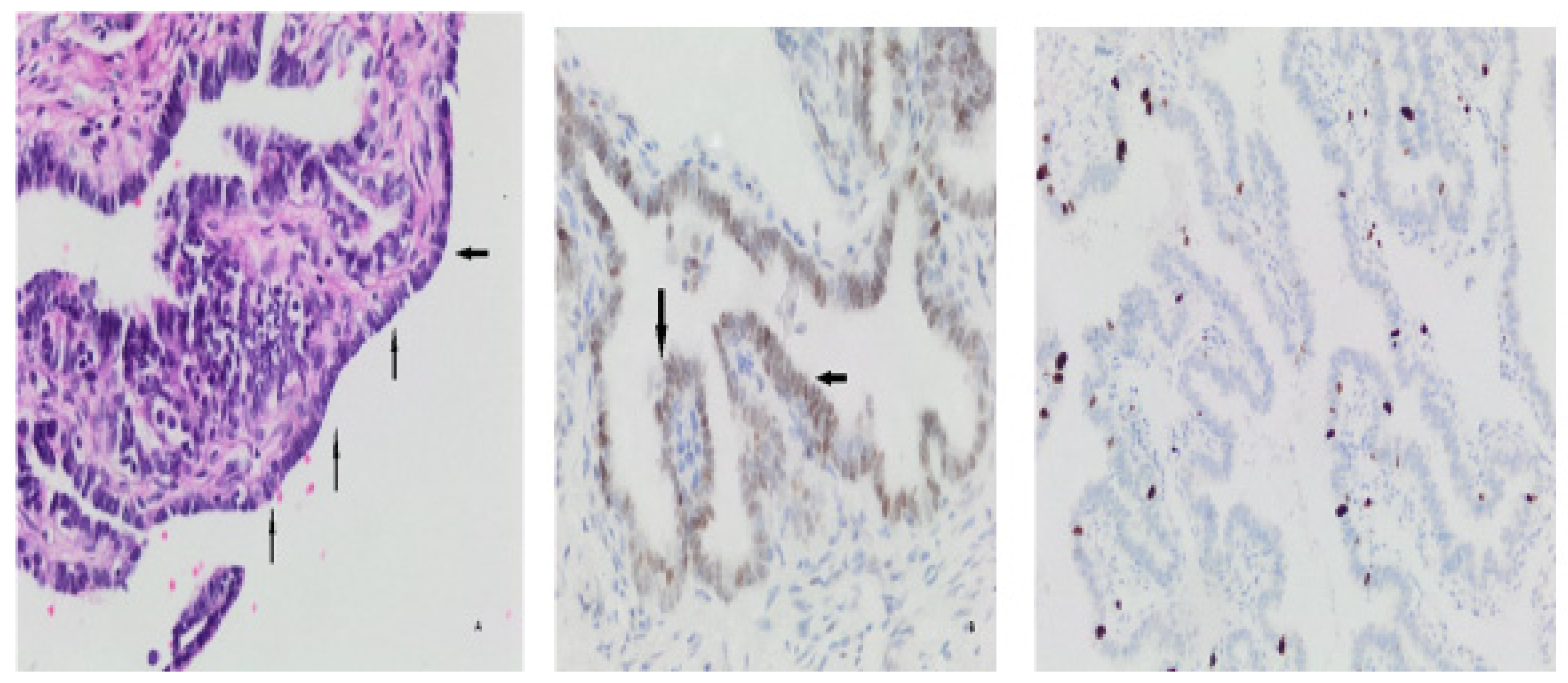 Preprints 88969 g003