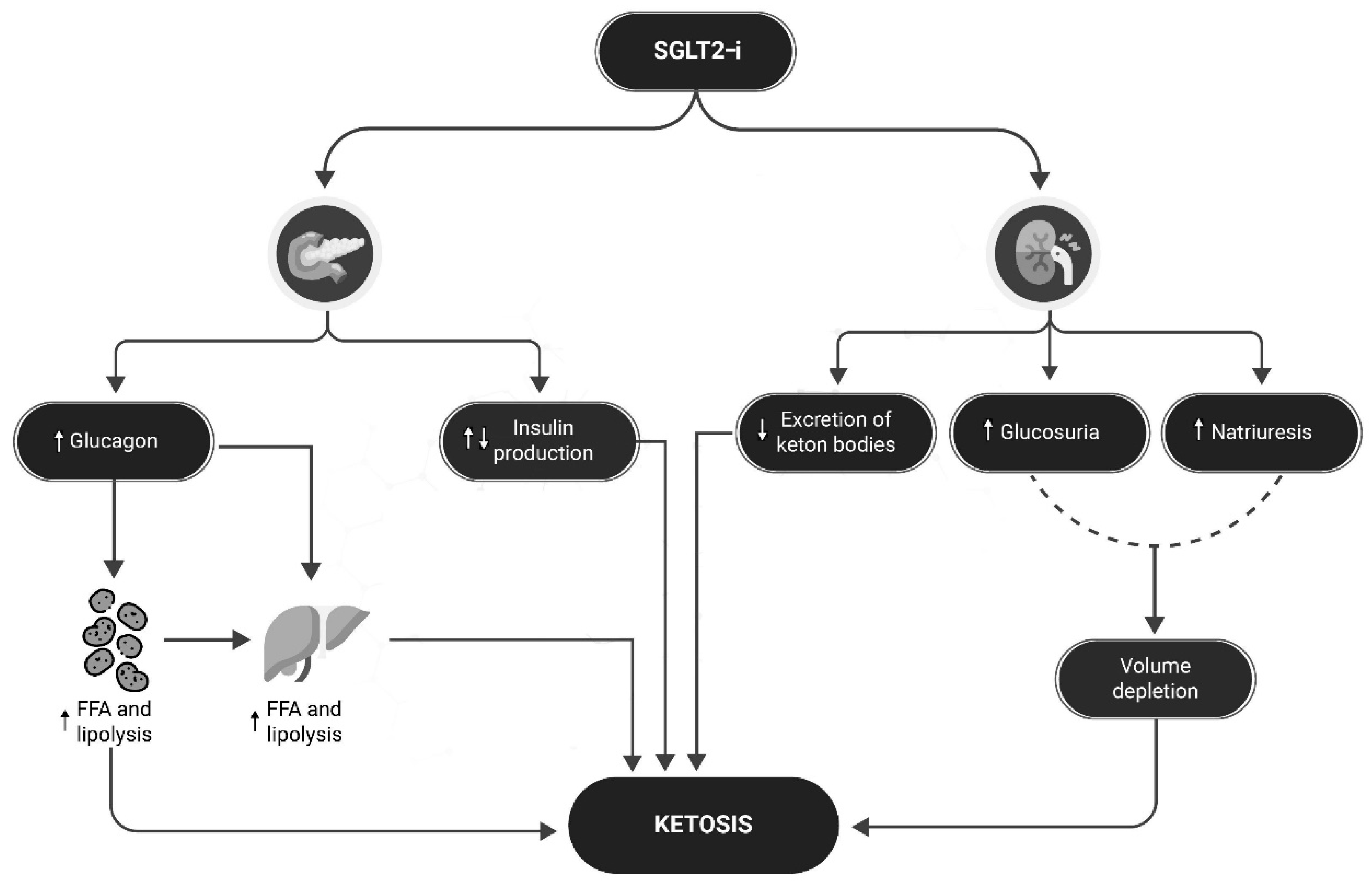 Preprints 99740 g002