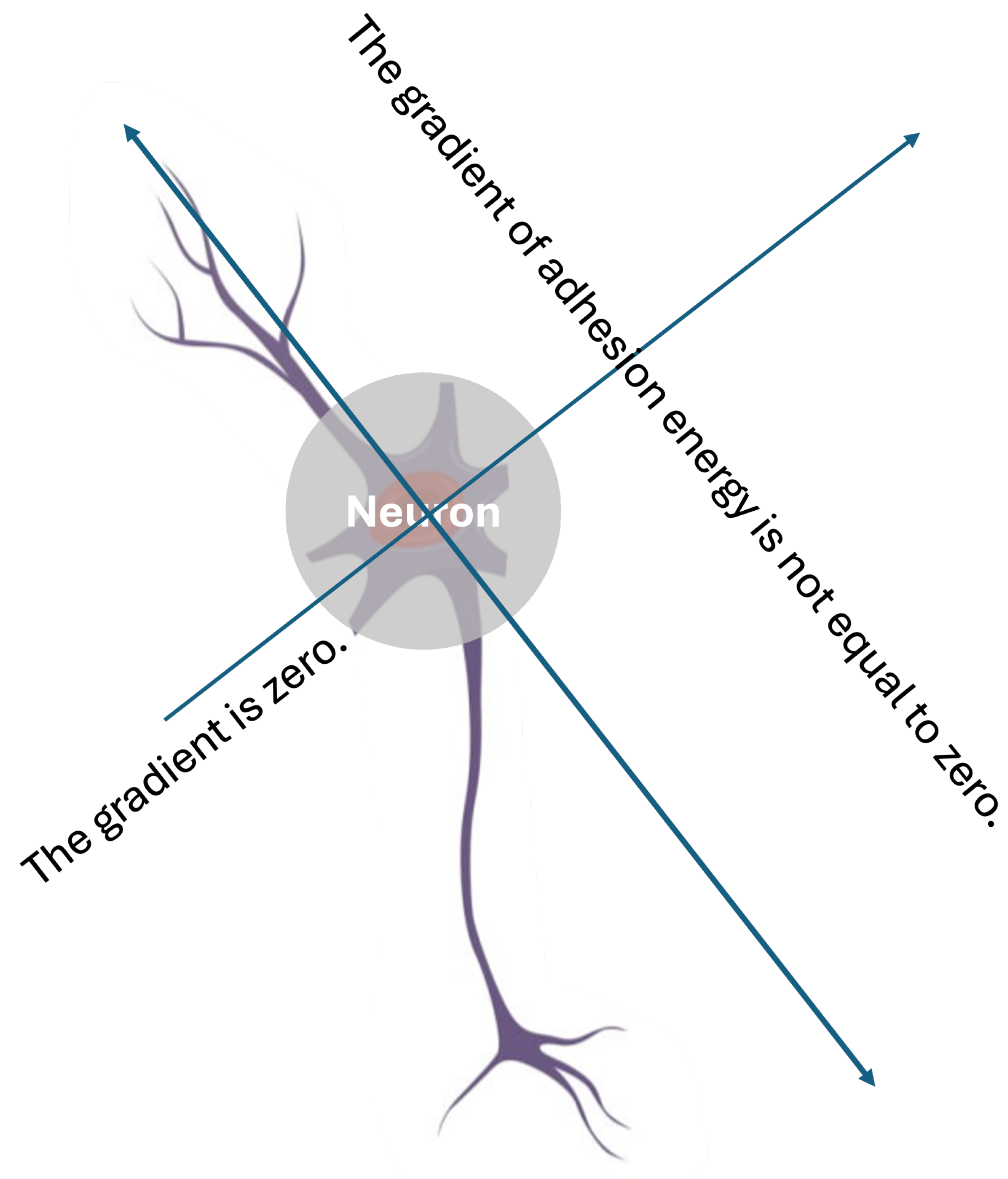 Preprints 142220 g003