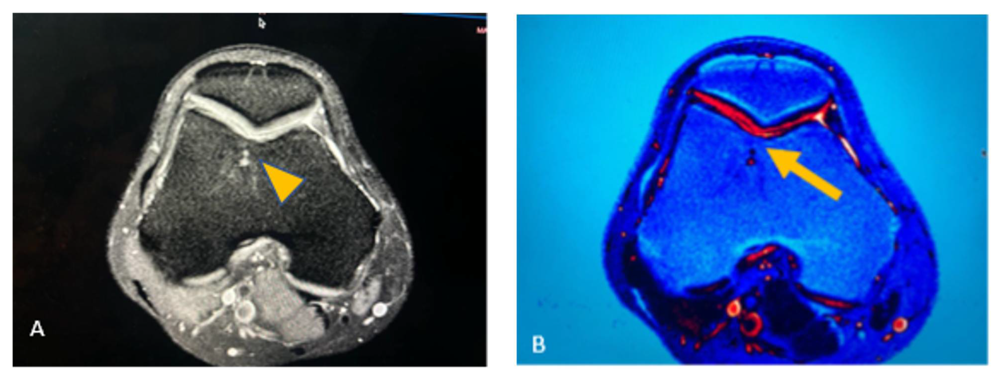 Preprints 109250 g002