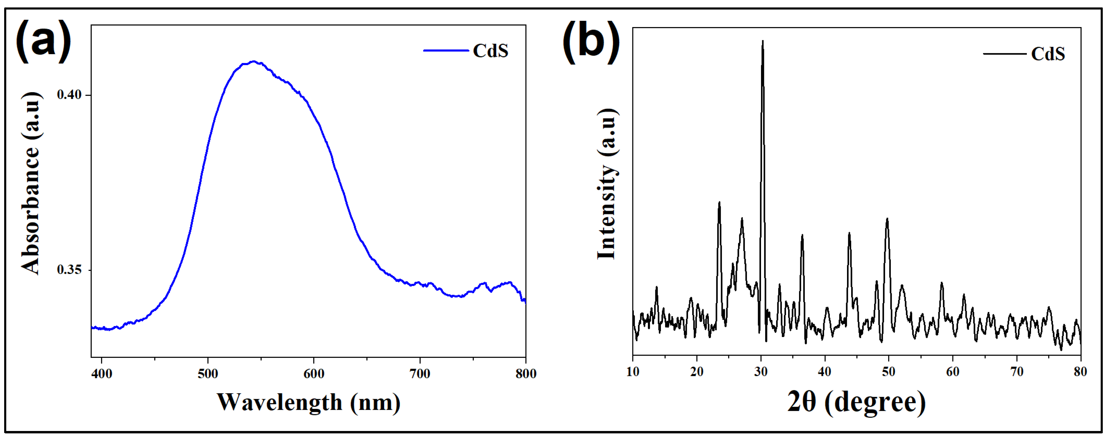 Preprints 100965 g001