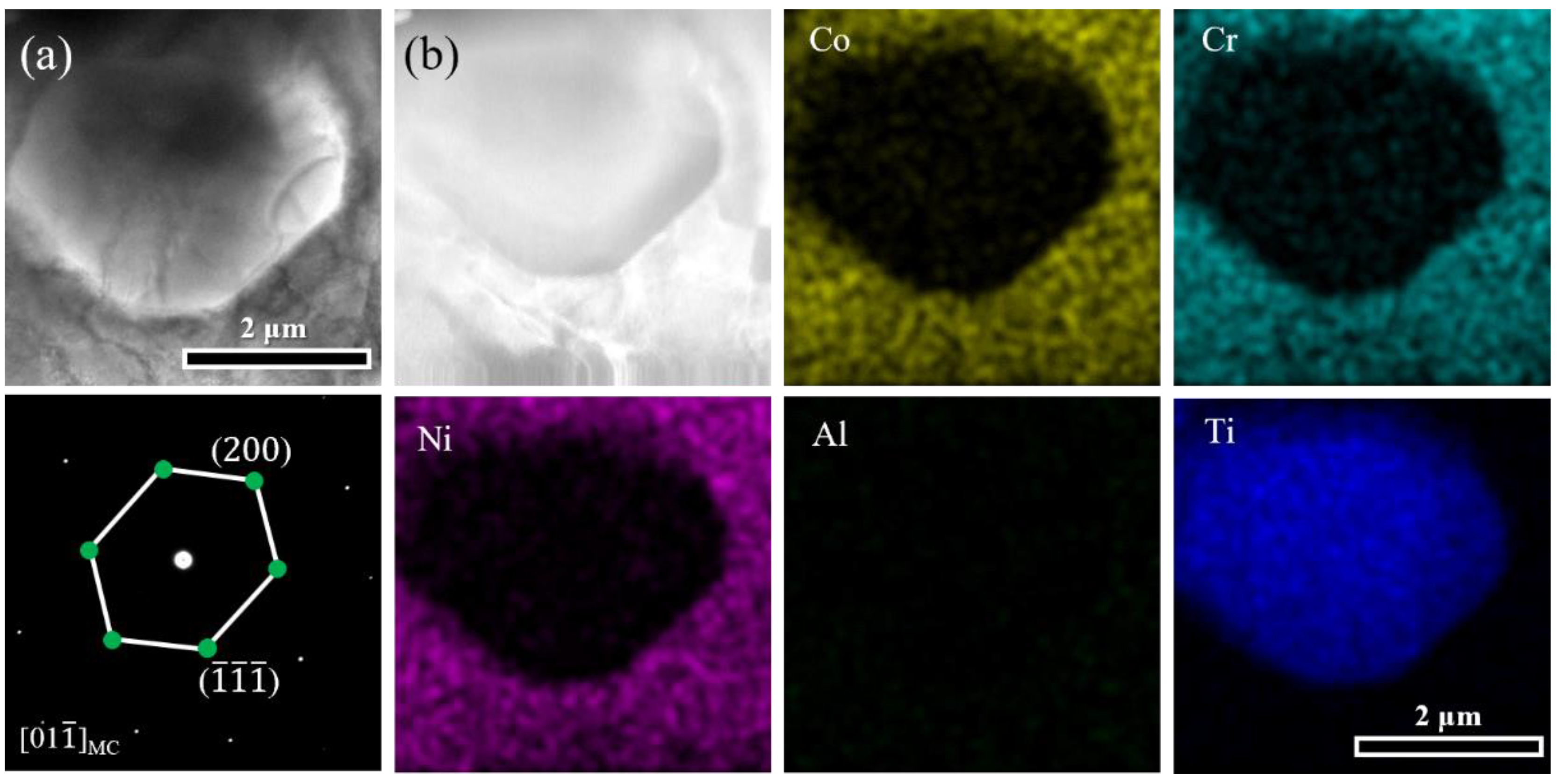 Preprints 115352 g003