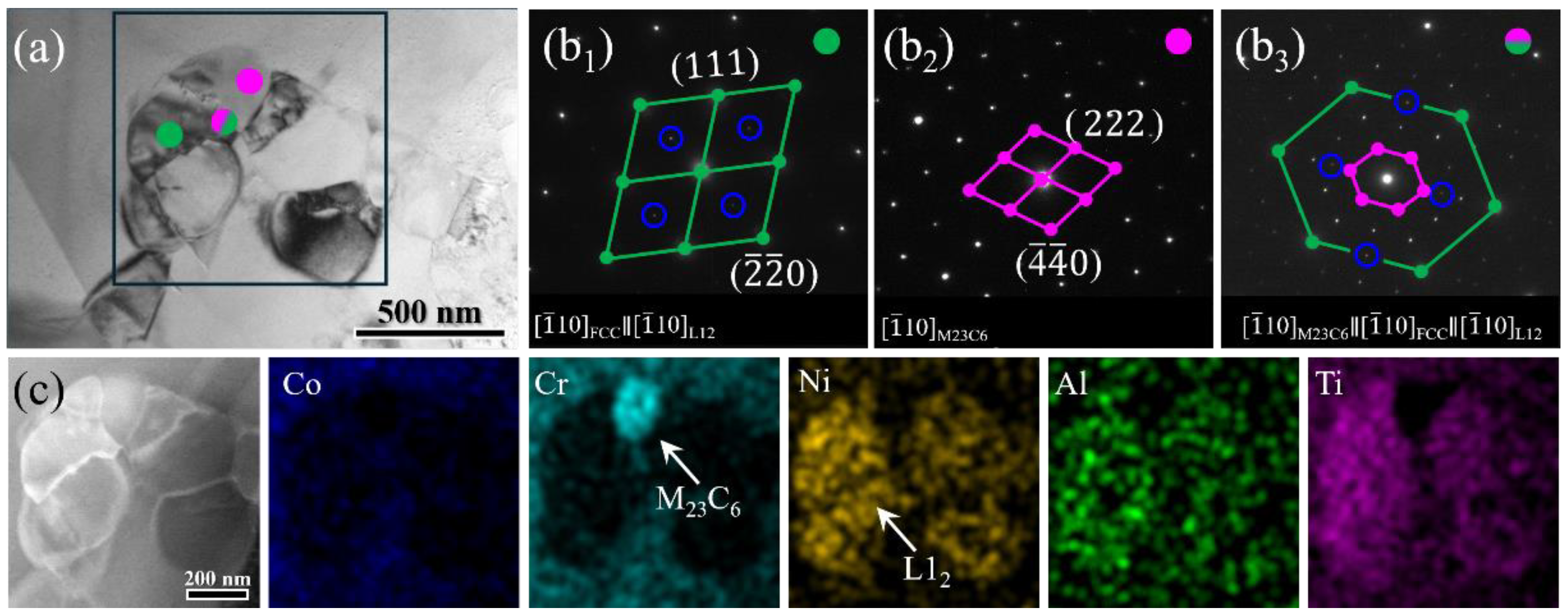 Preprints 115352 g004