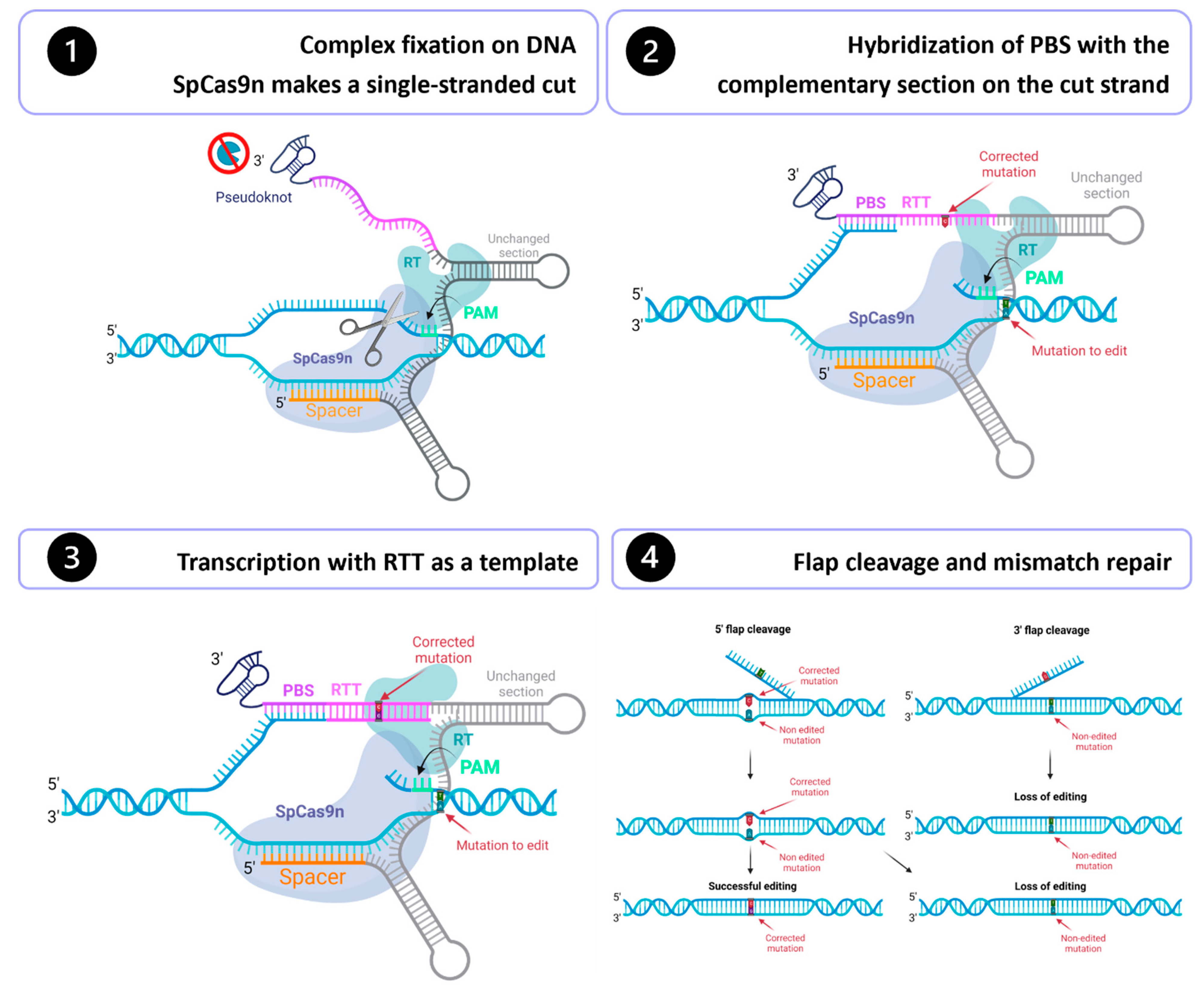 Preprints 91330 g001