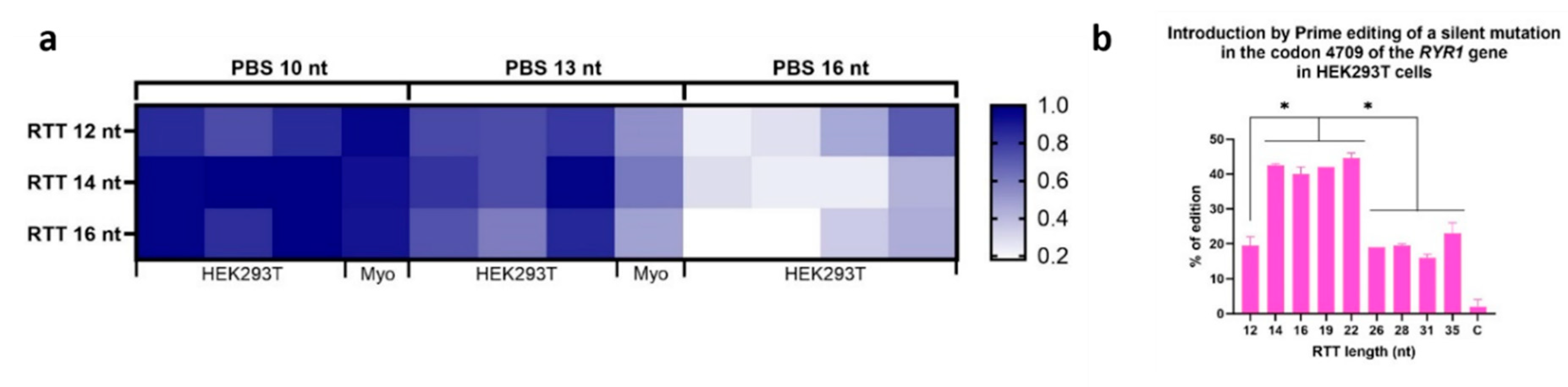 Preprints 91330 g004