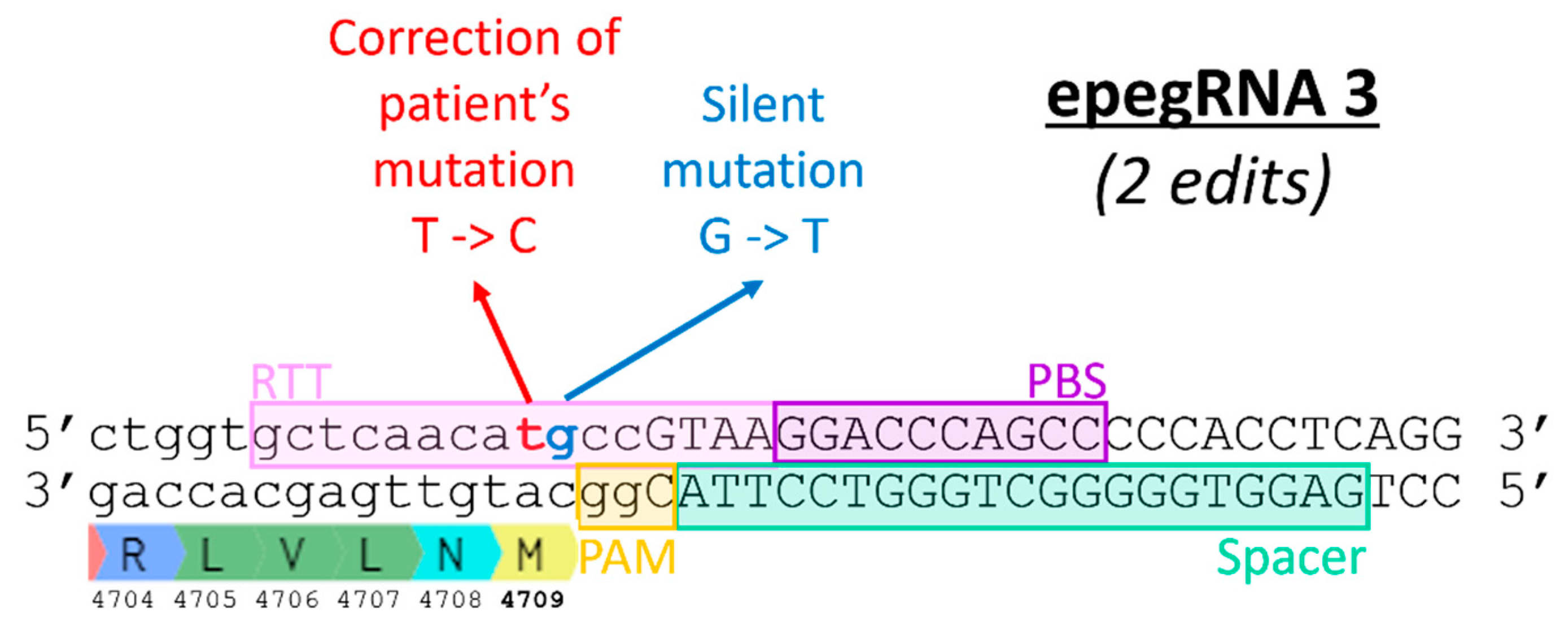 Preprints 91330 g005