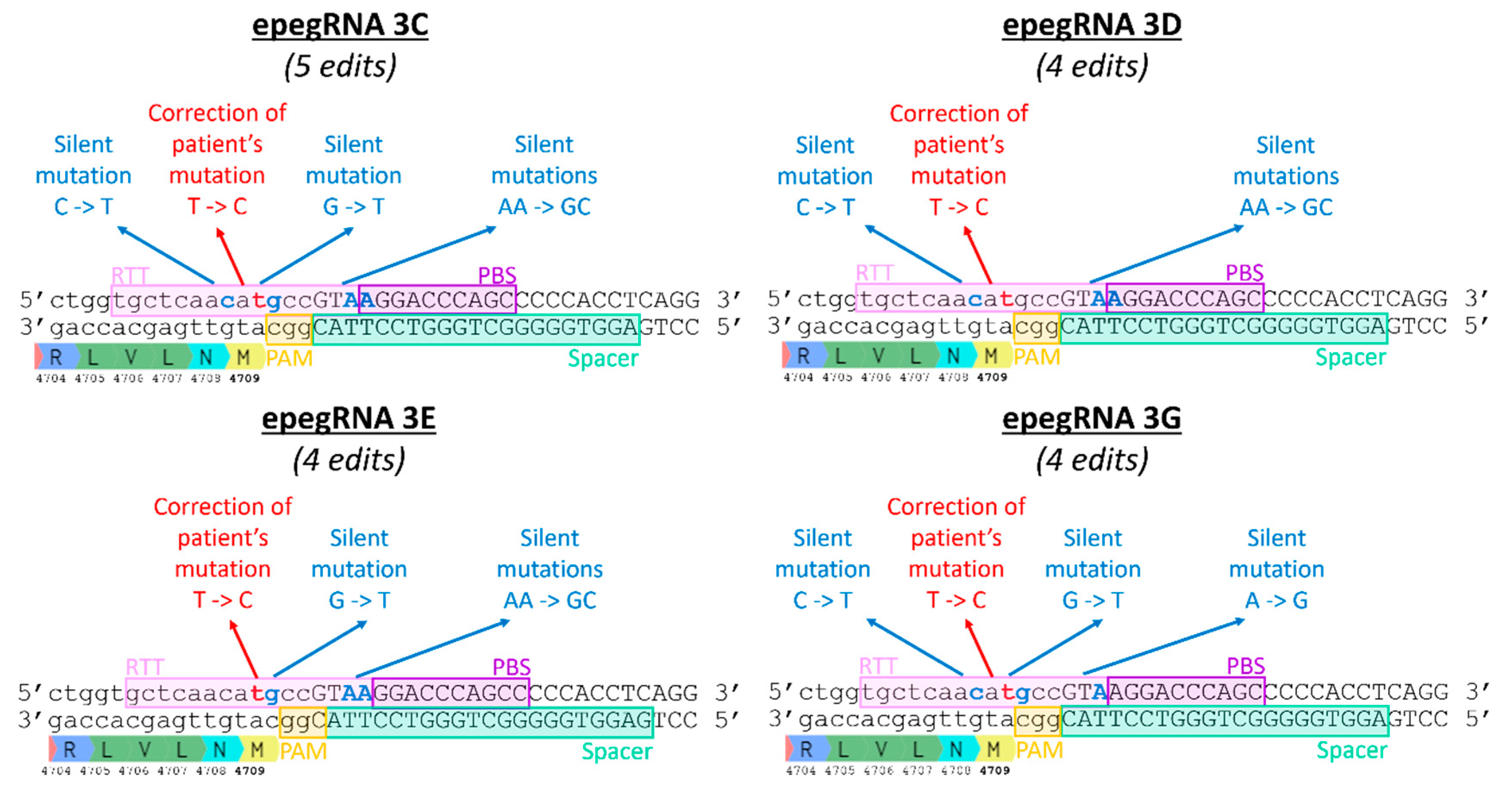 Preprints 91330 g008