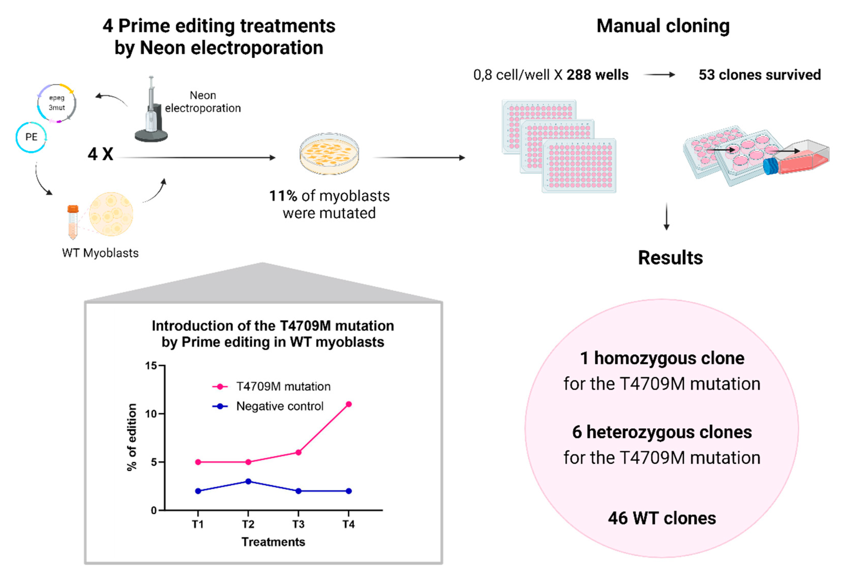 Preprints 91330 g009