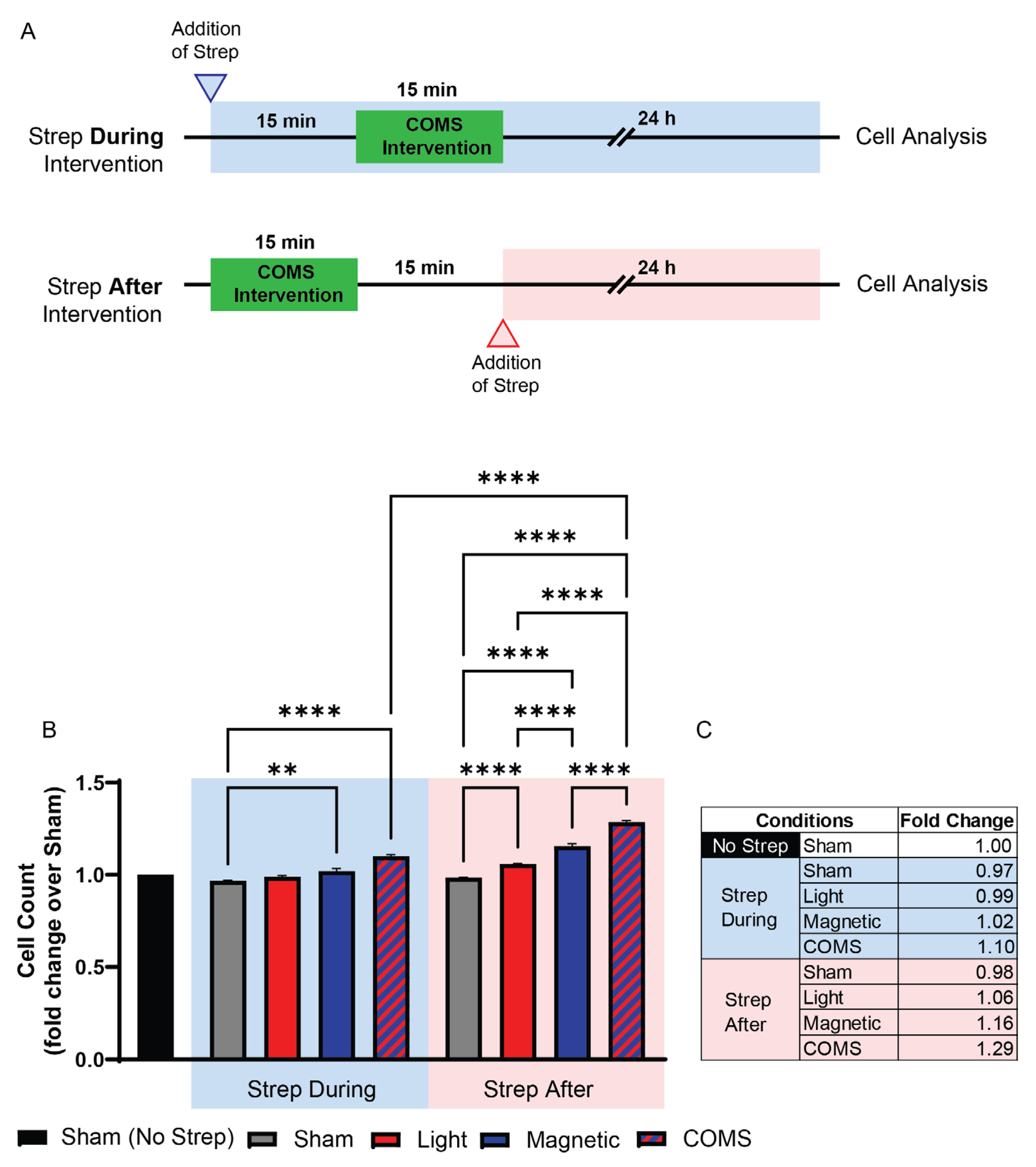 Preprints 108466 g002