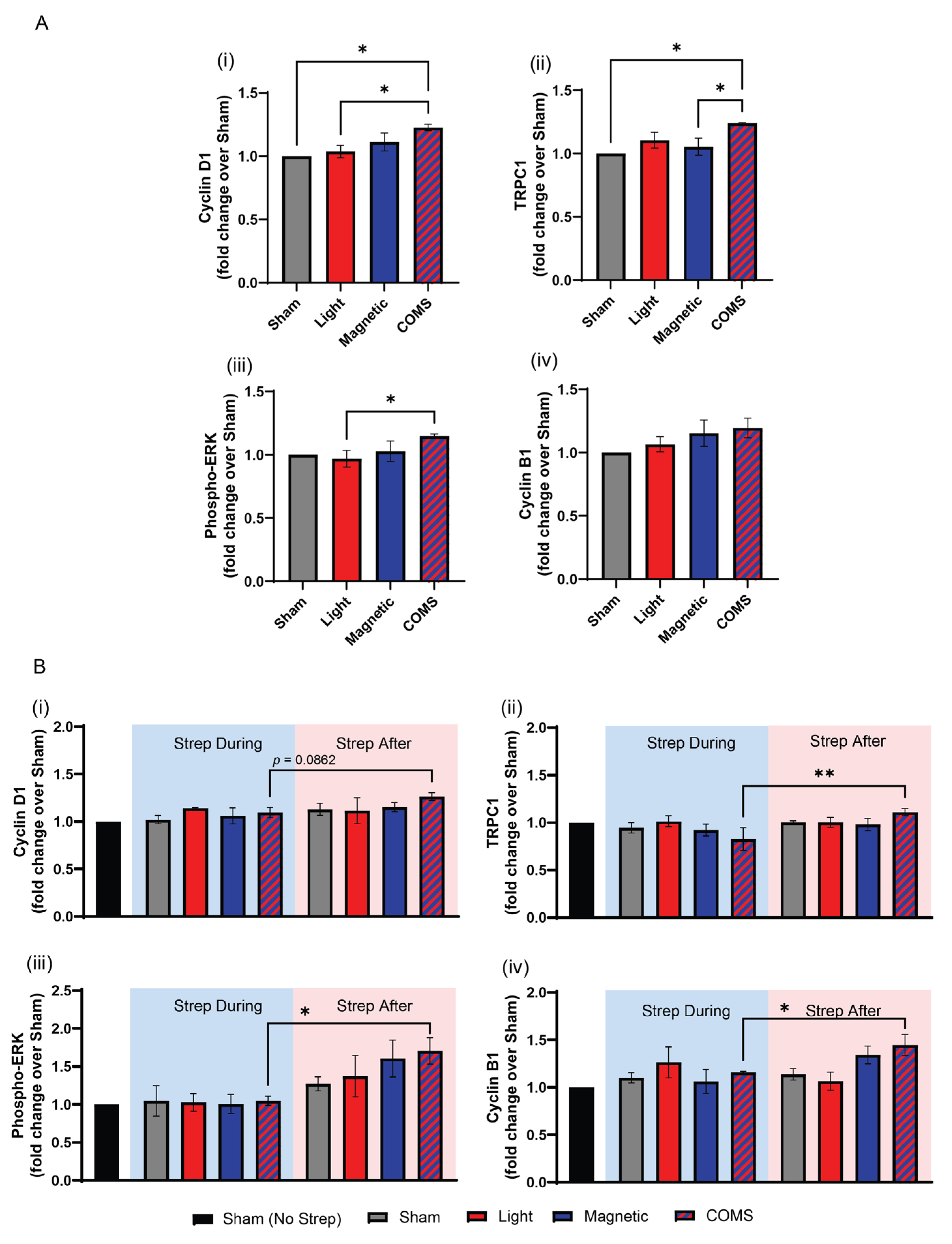 Preprints 108466 g003