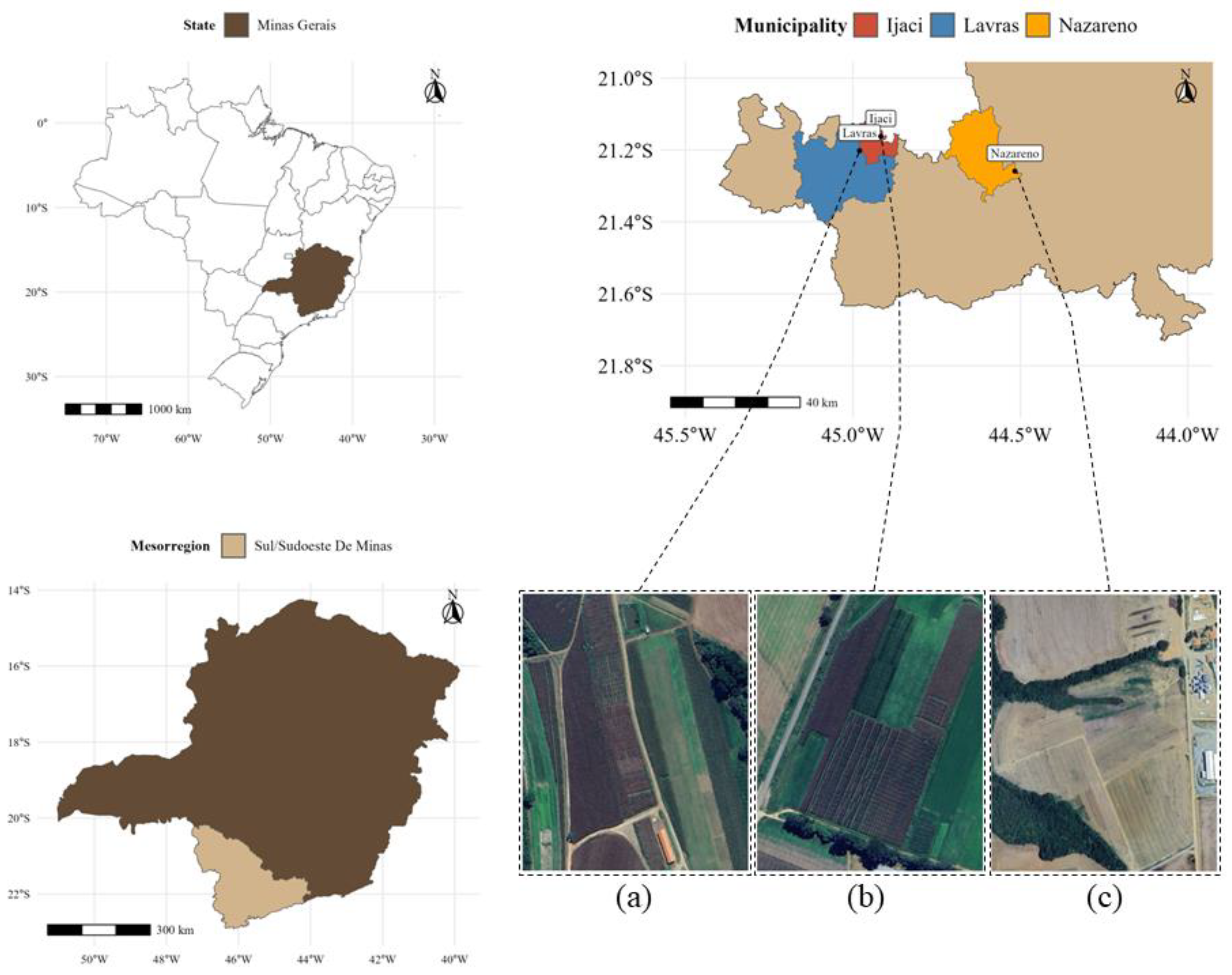 Preprints 120534 g001