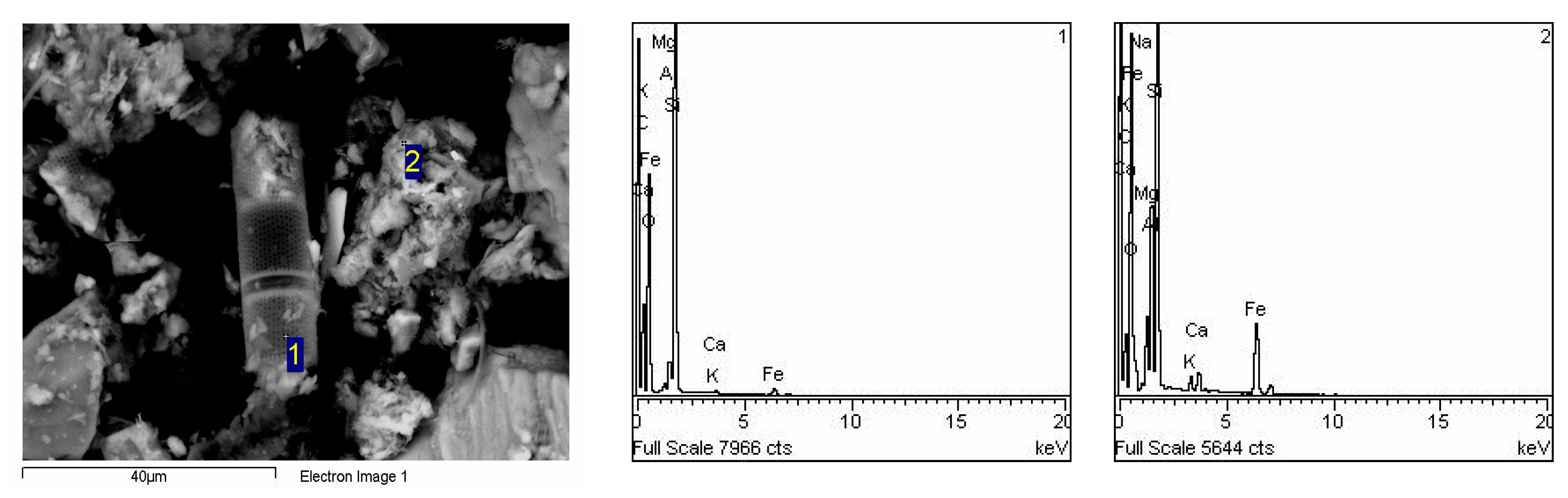 Preprints 72577 g008