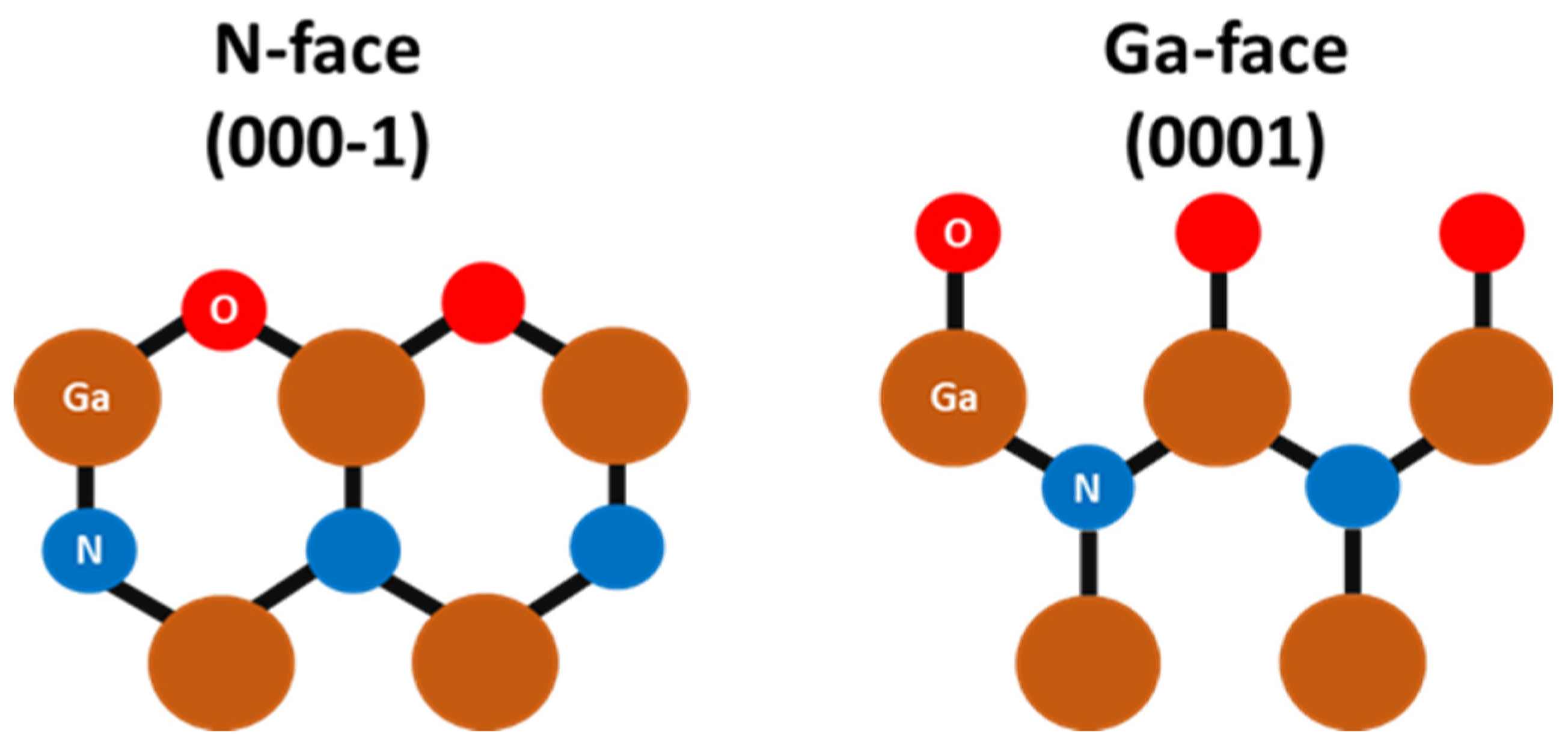 Preprints 115684 g001