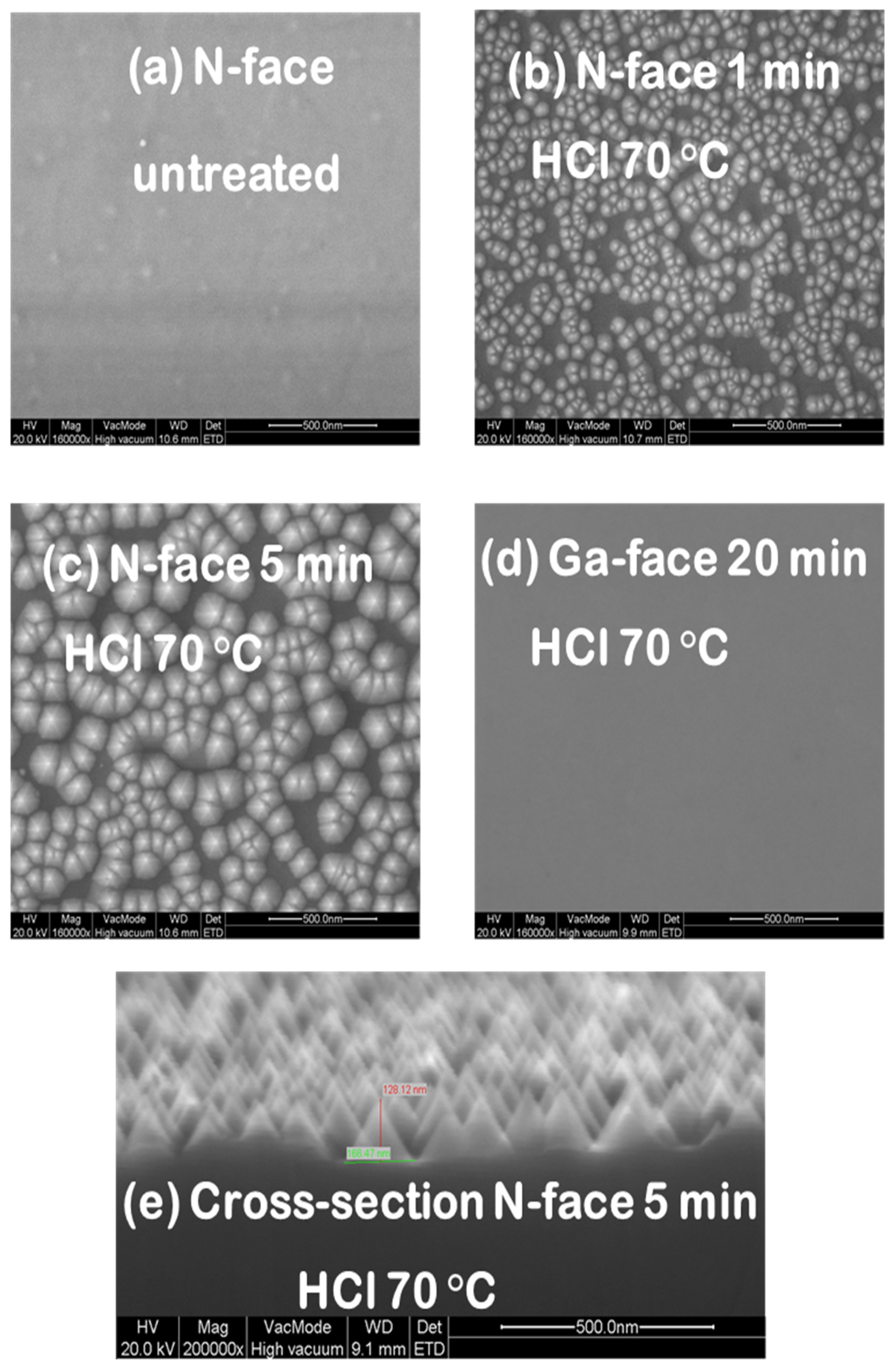 Preprints 115684 g009