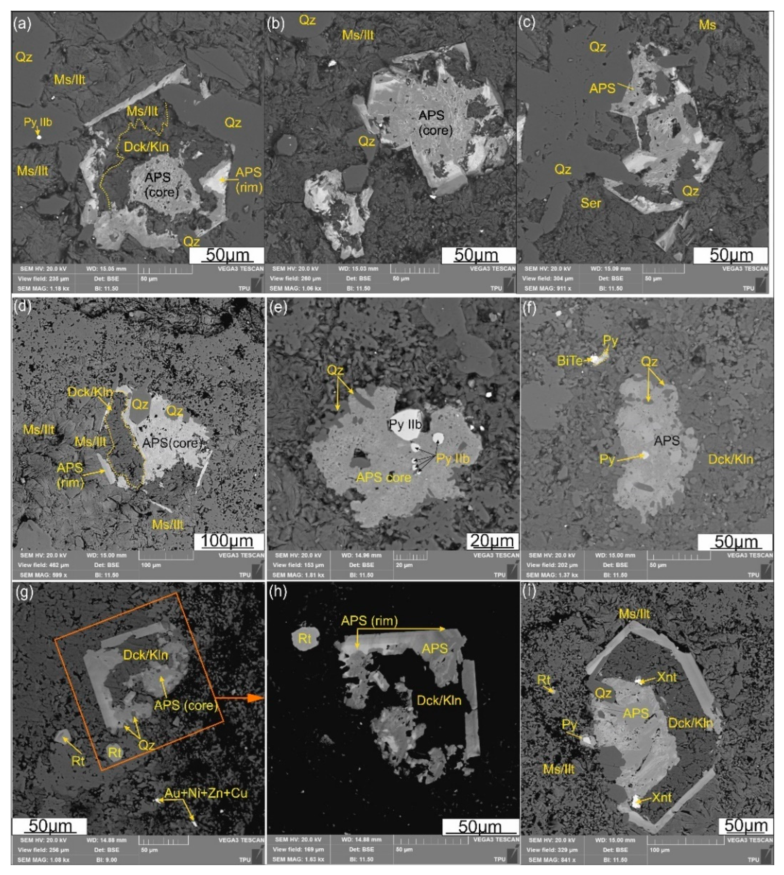 Preprints 115403 g006