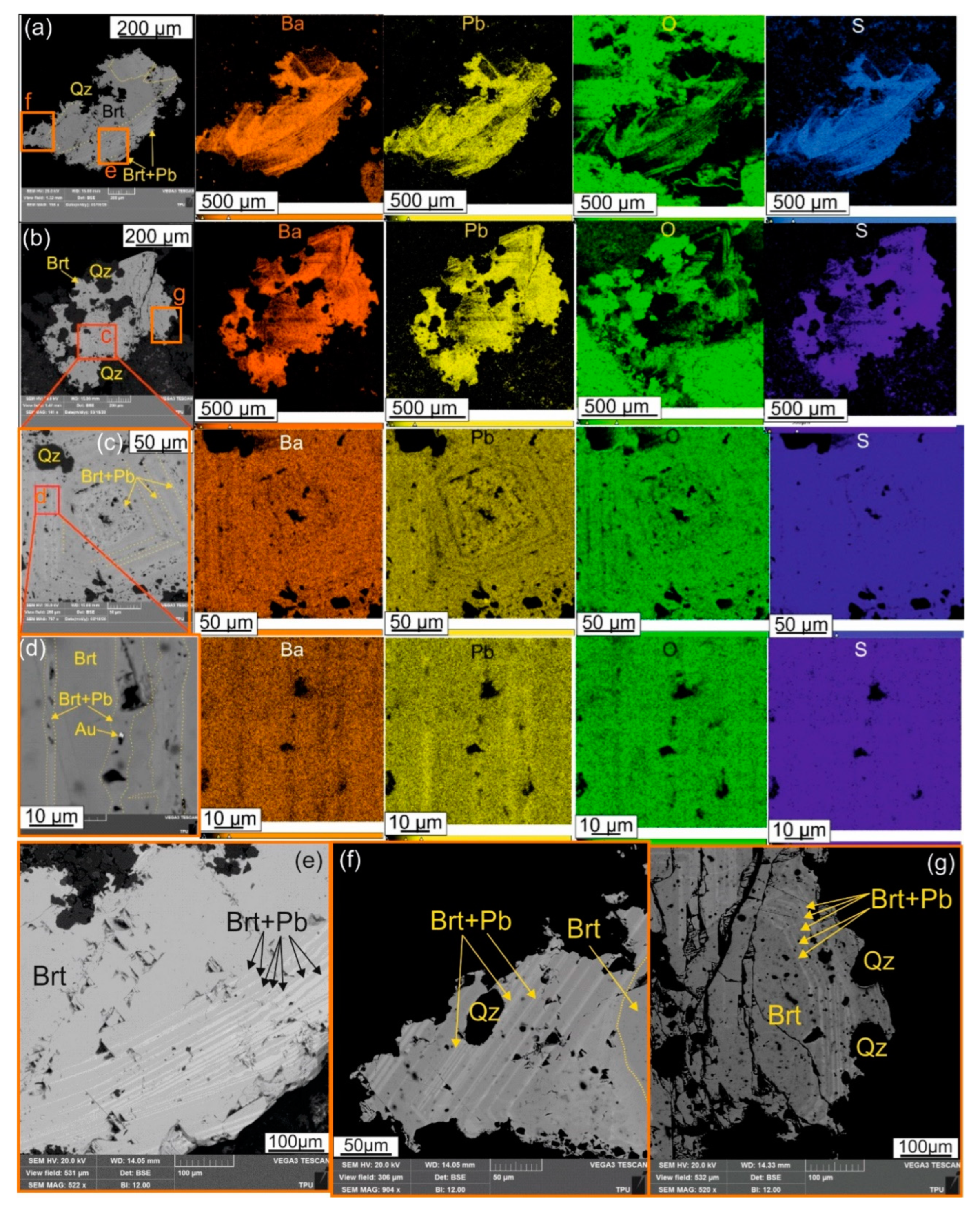 Preprints 115403 g008