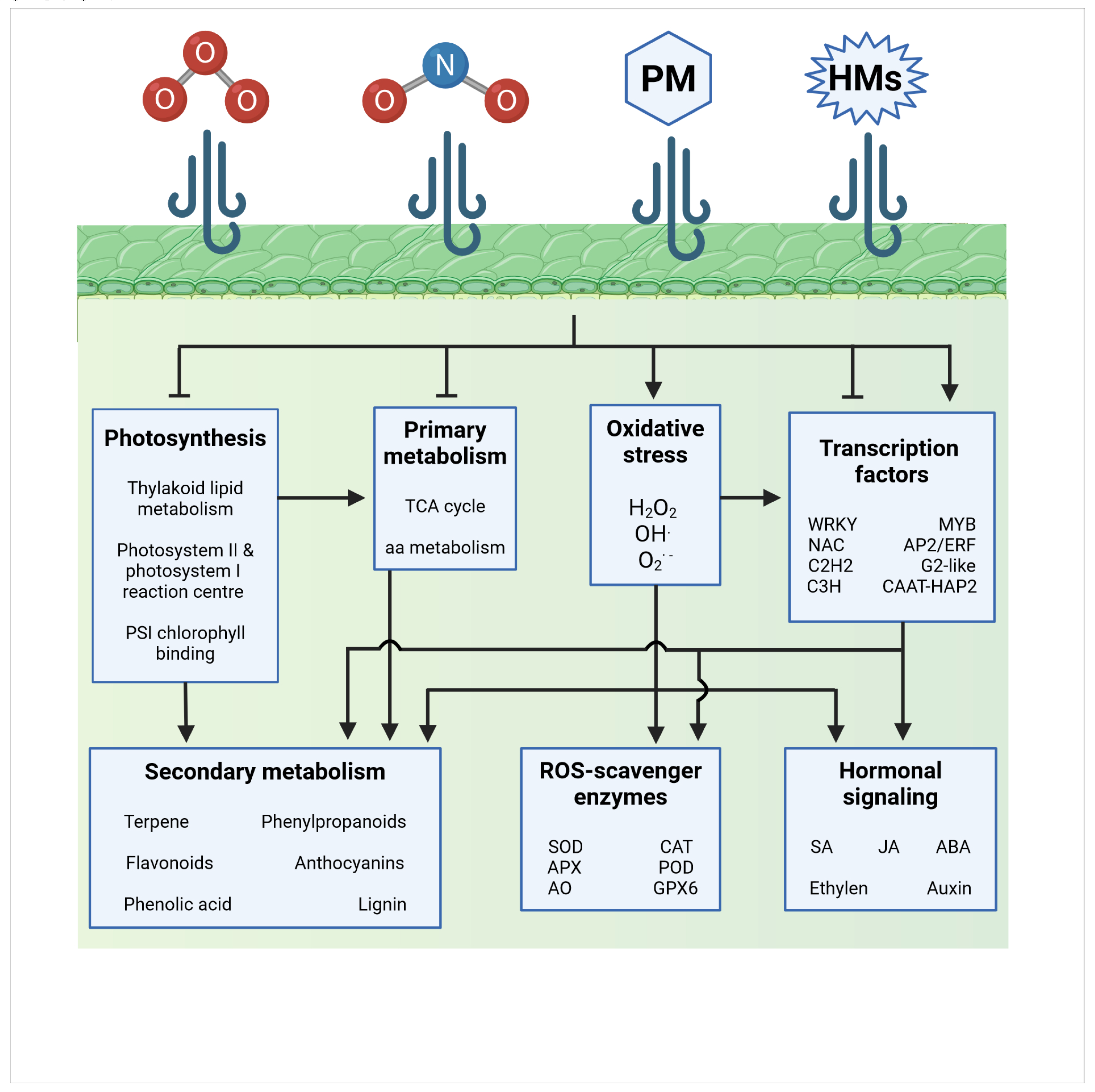 Preprints 110844 g002