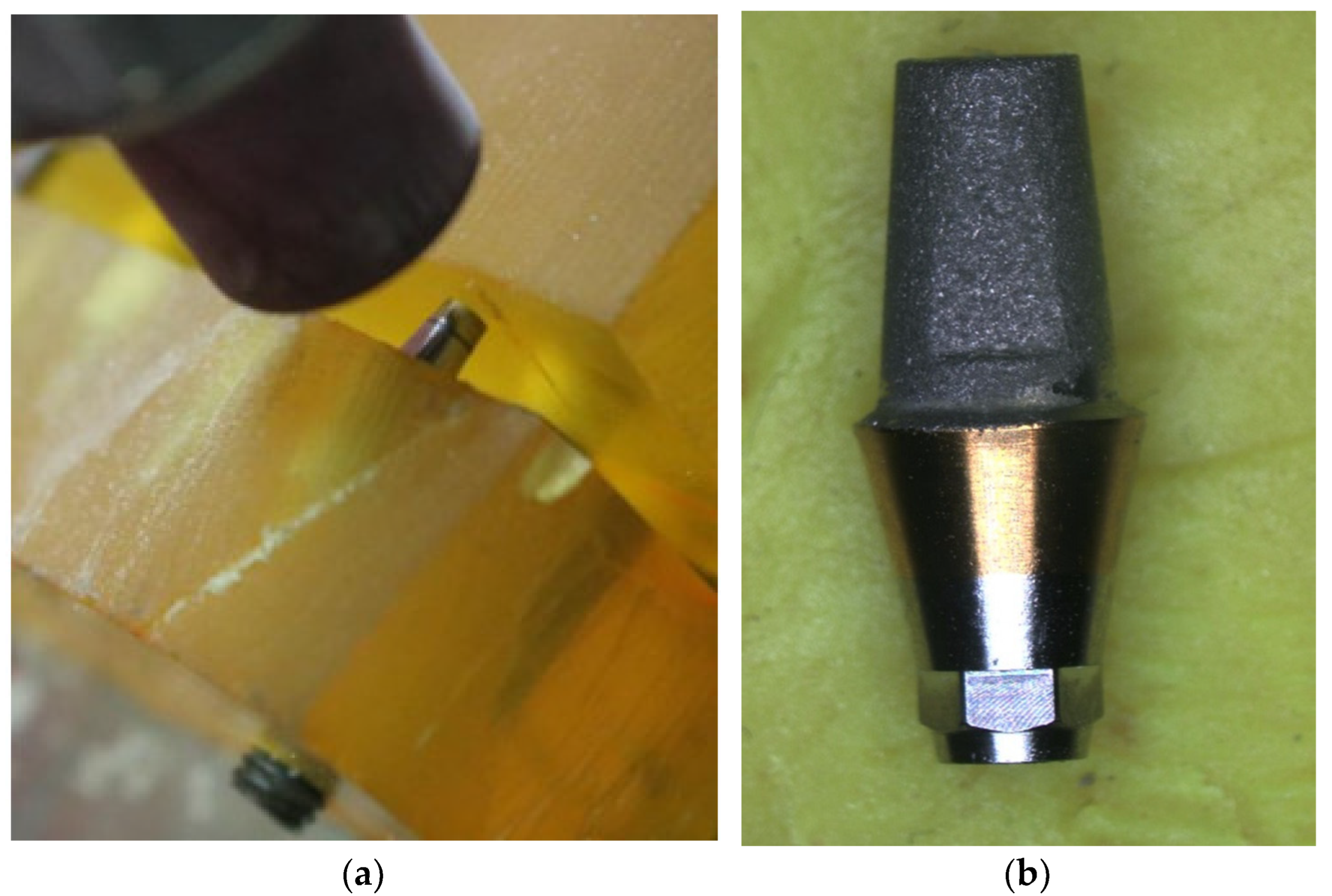 Preprints 88885 g003