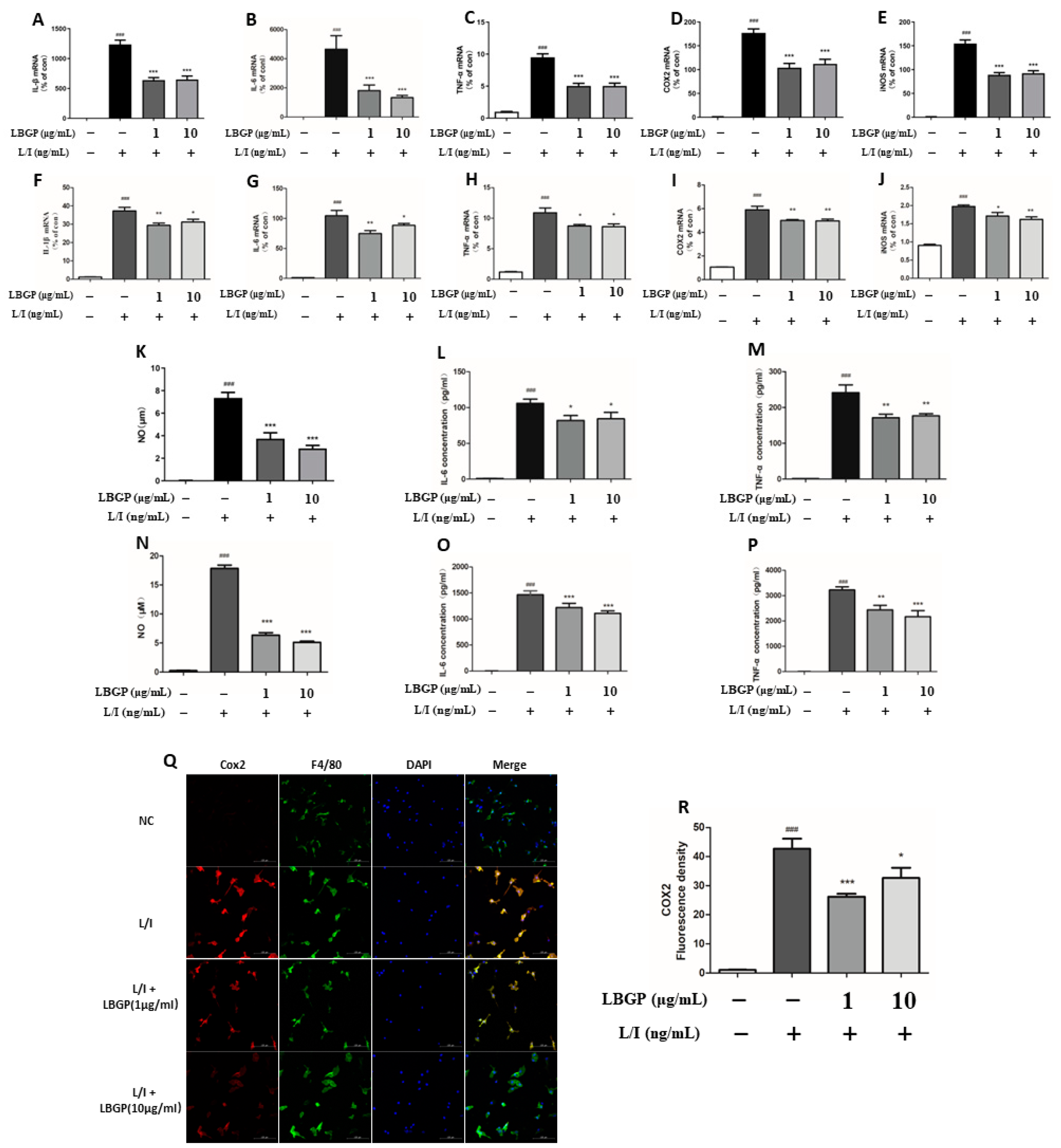 Preprints 107582 g003