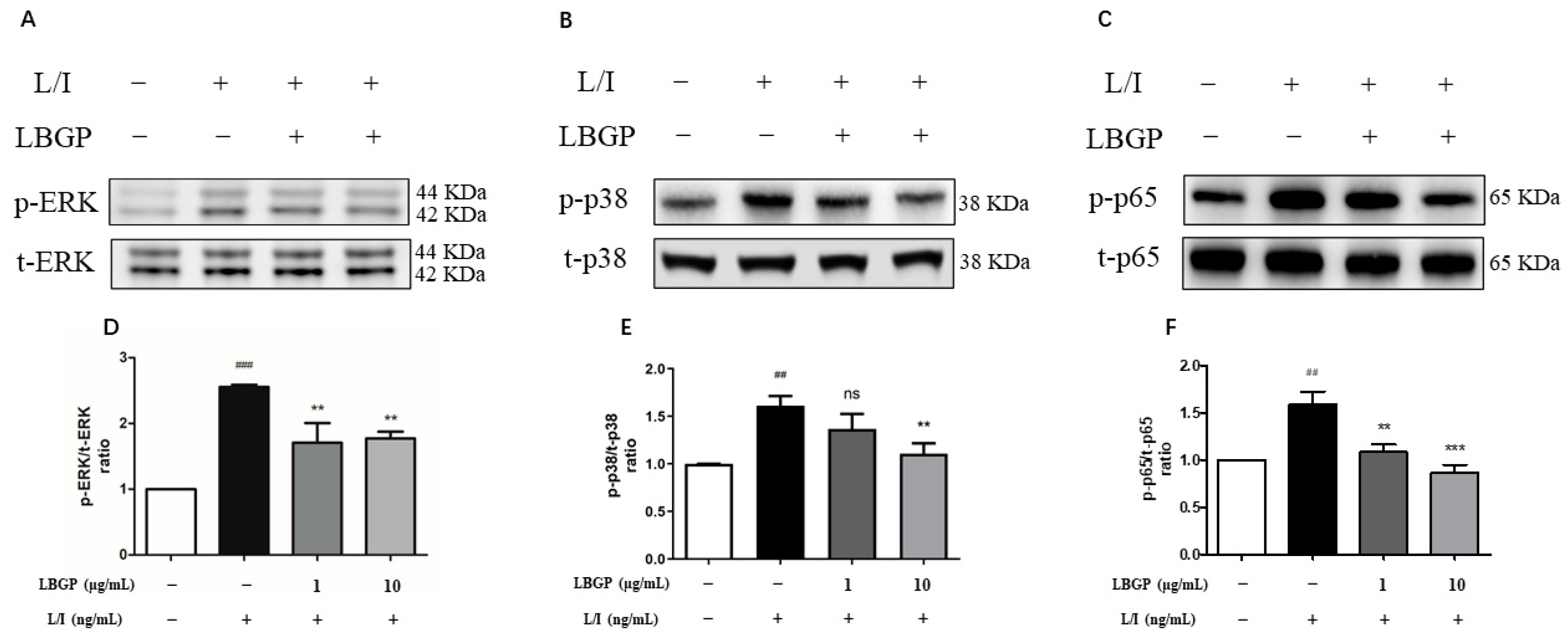 Preprints 107582 g005