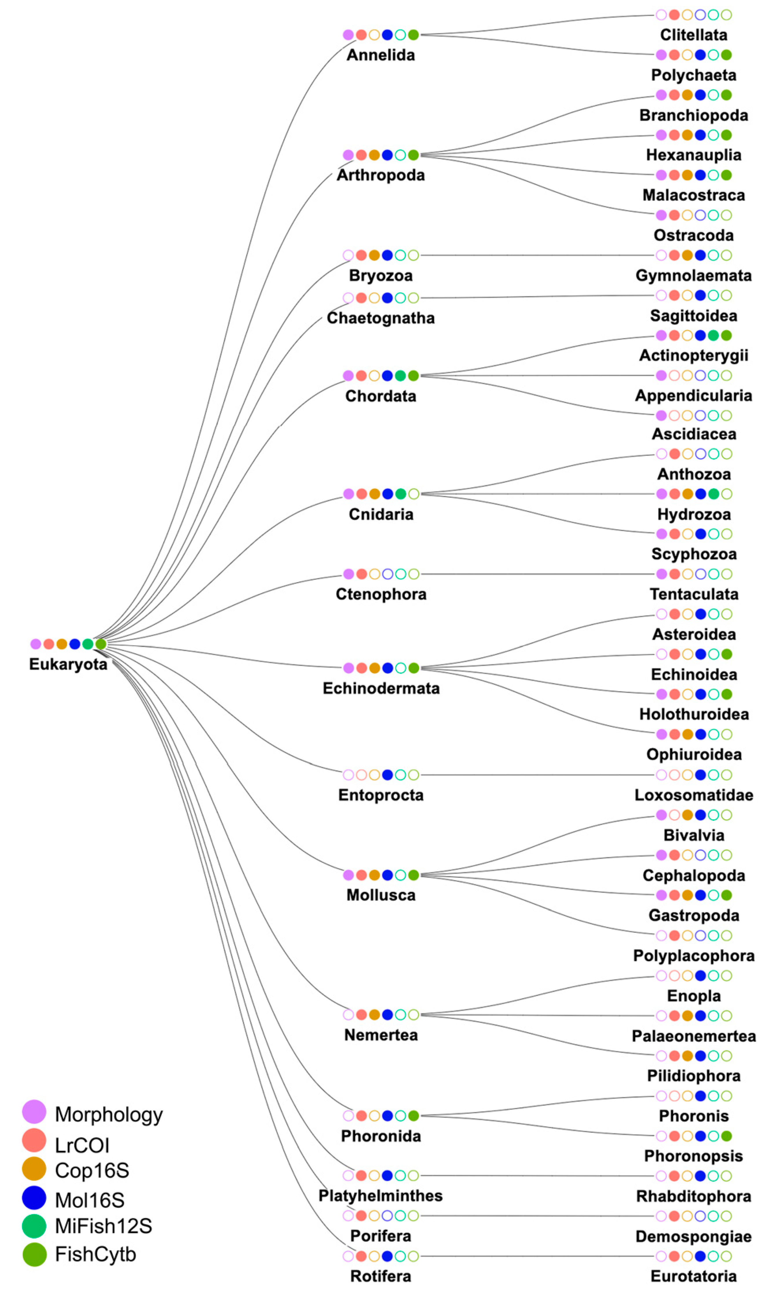 Preprints 90523 g002