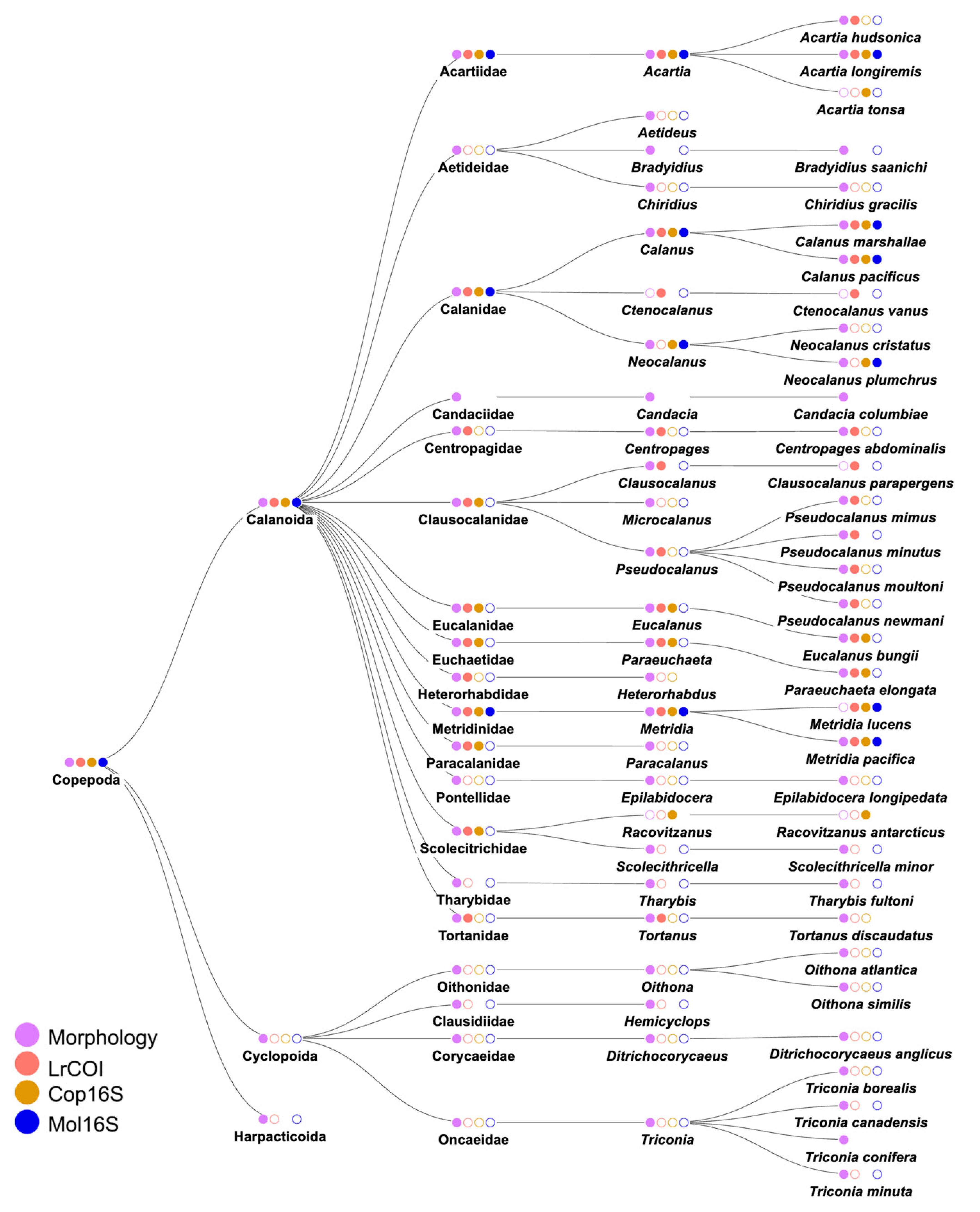 Preprints 90523 g005