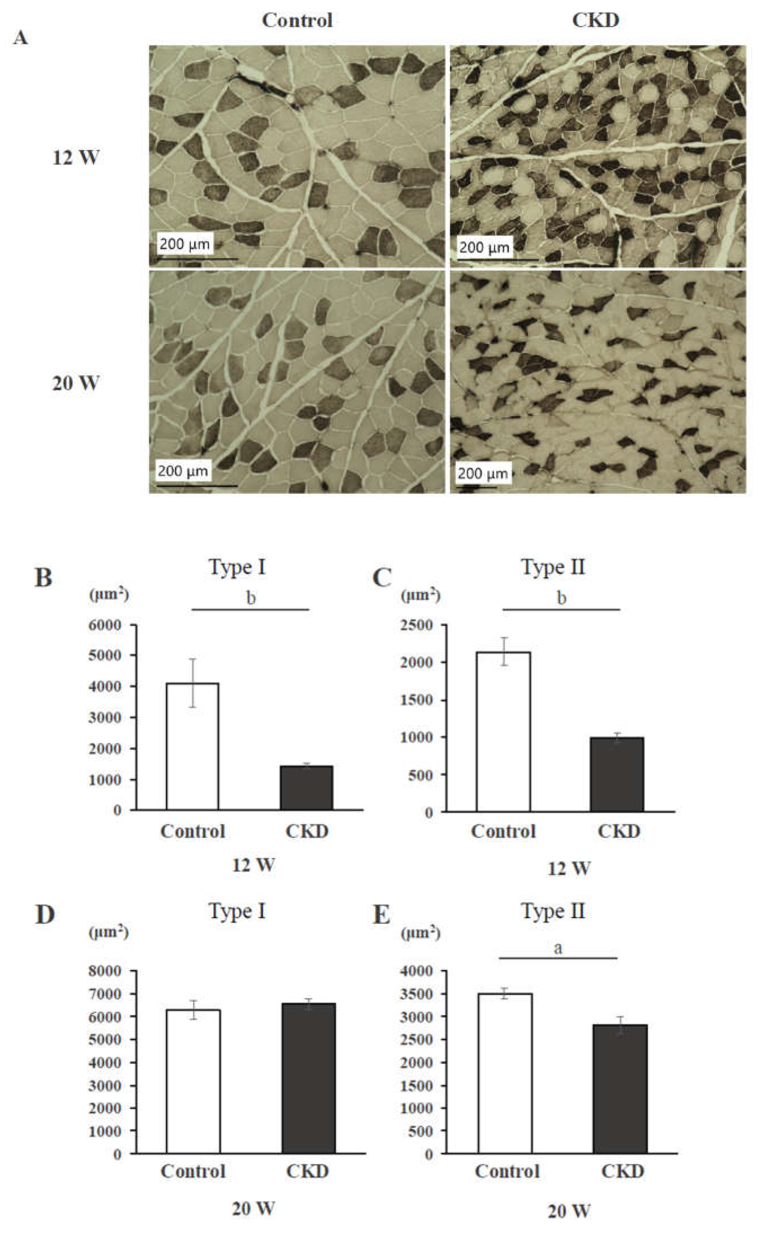 Preprints 115666 g001