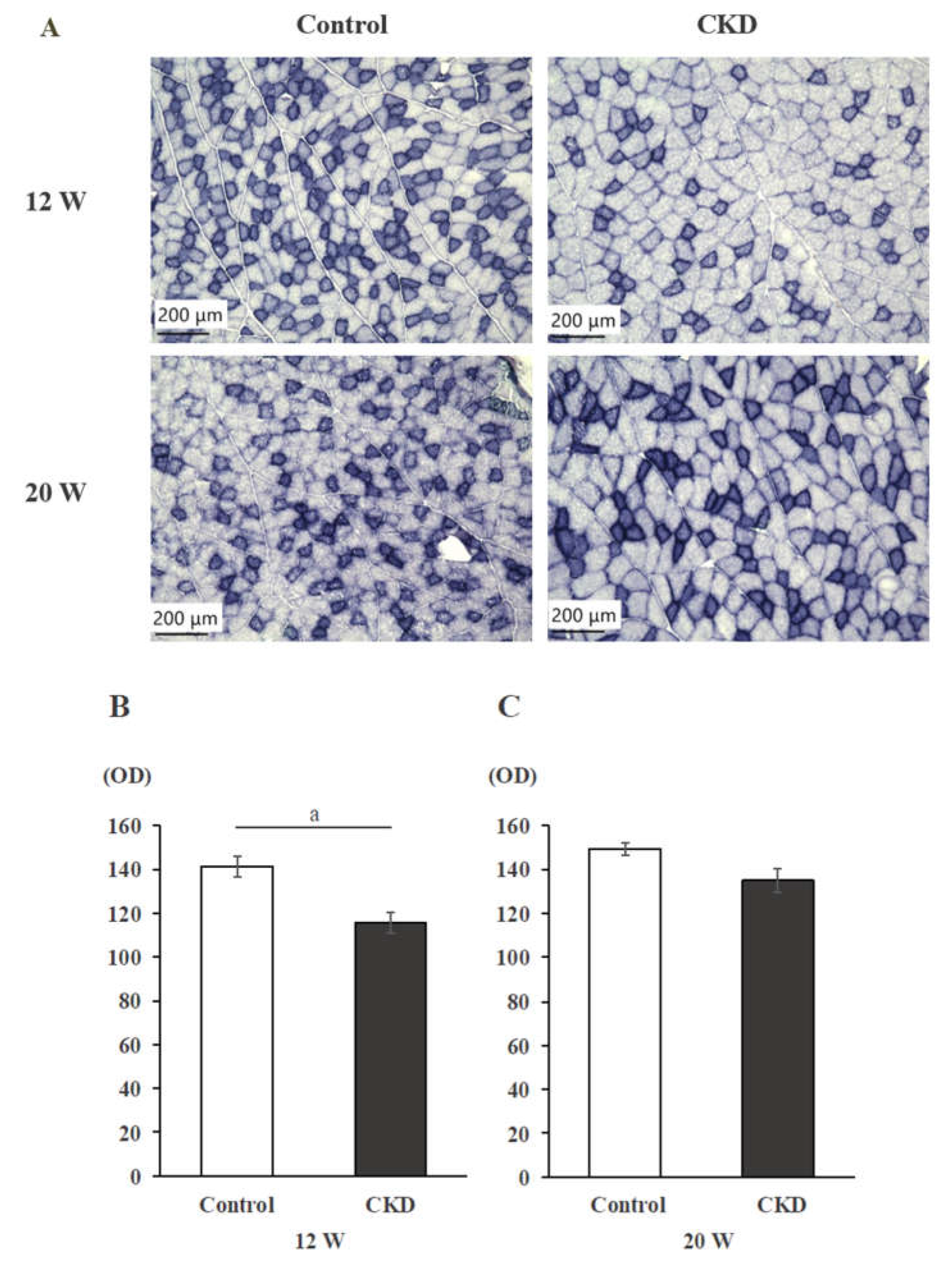 Preprints 115666 g002