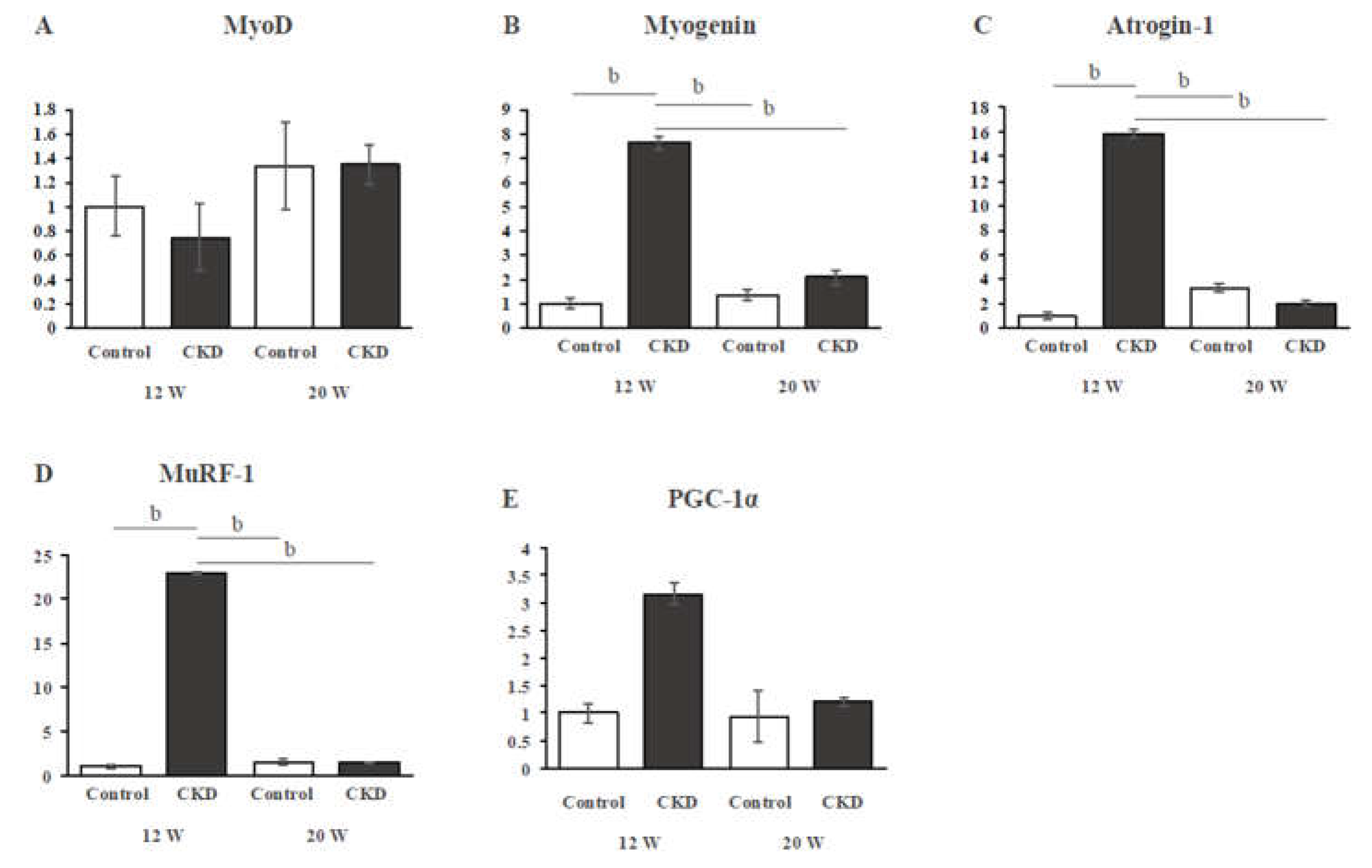 Preprints 115666 g003