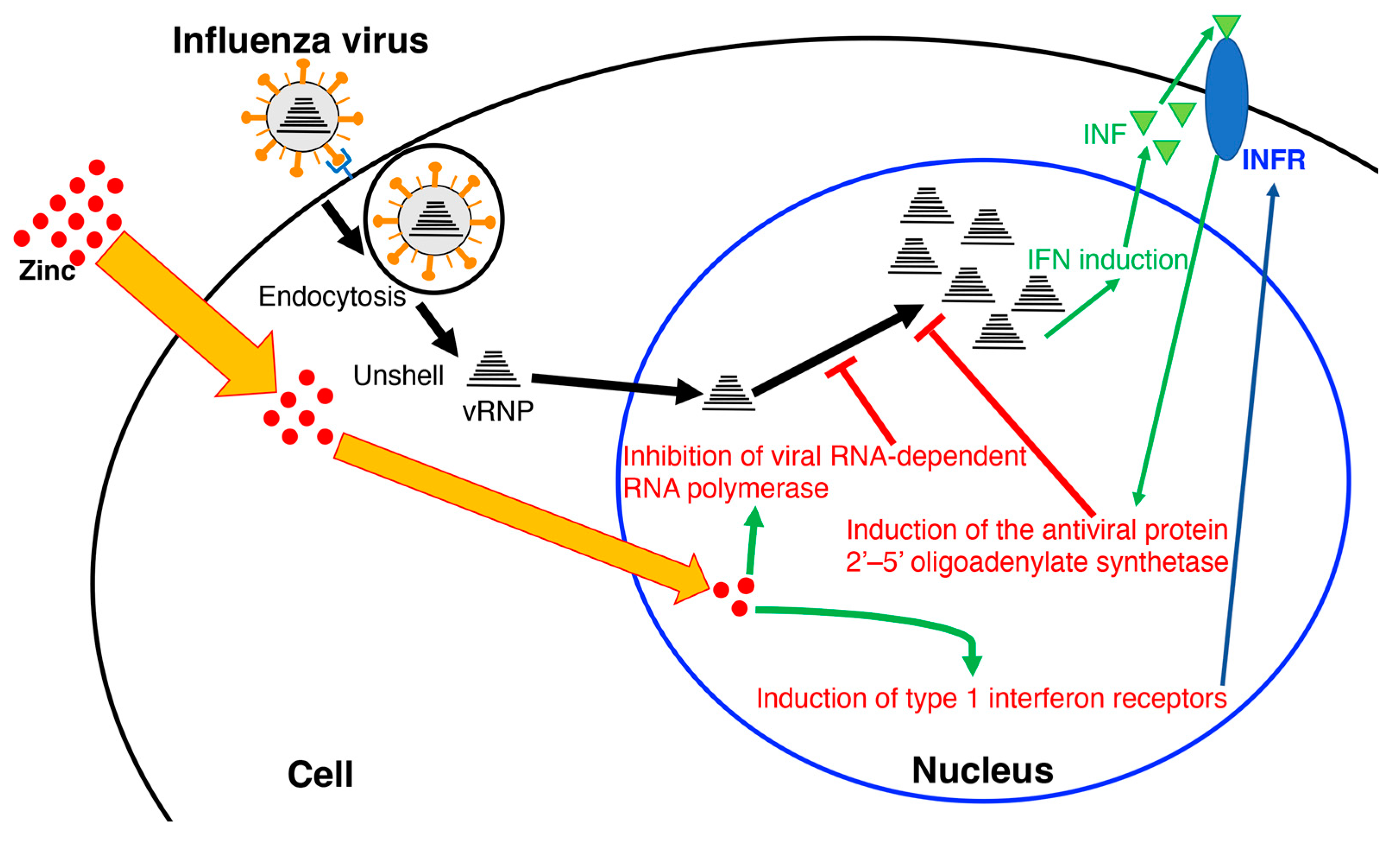 Preprints 88949 g003