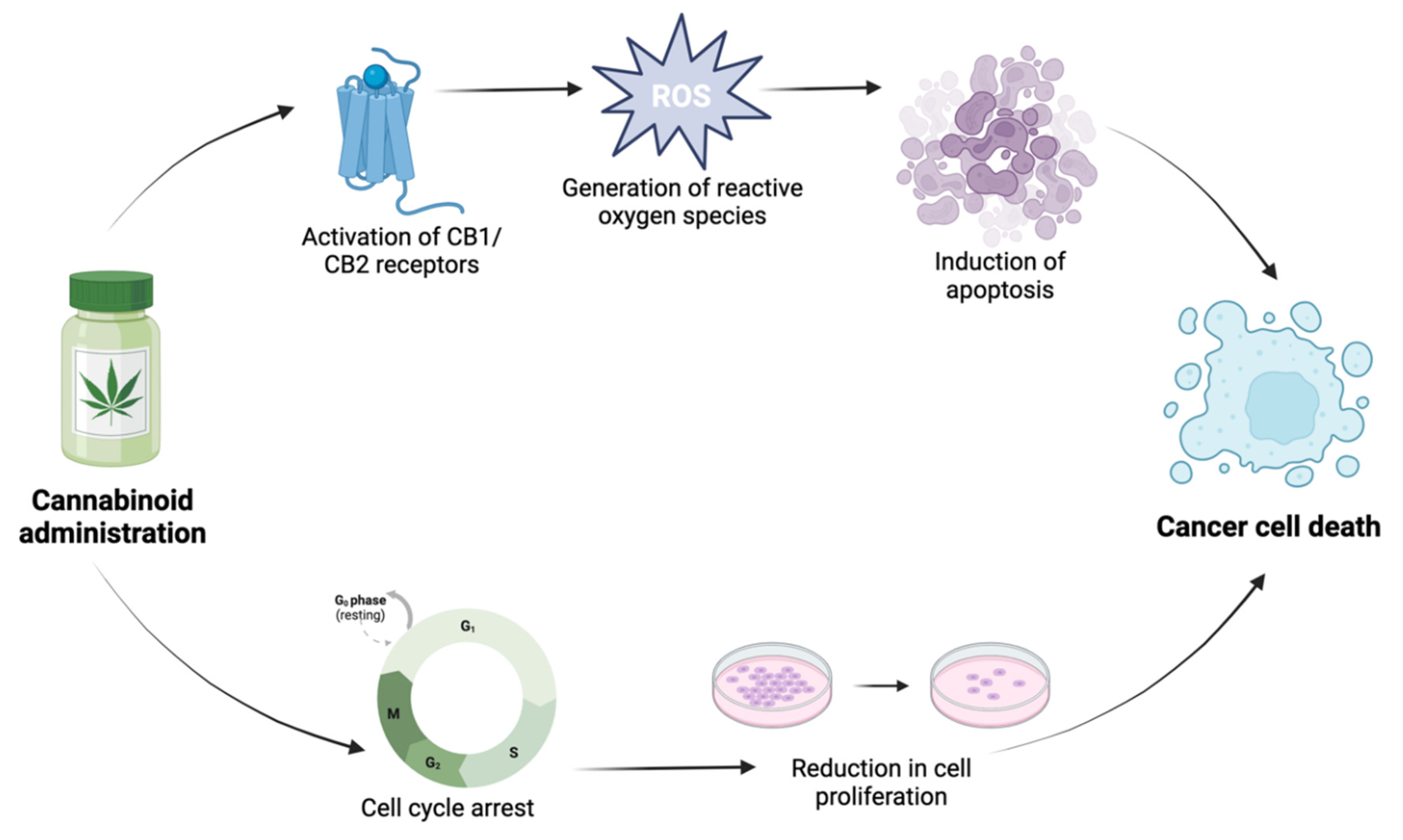 Preprints 92687 g002