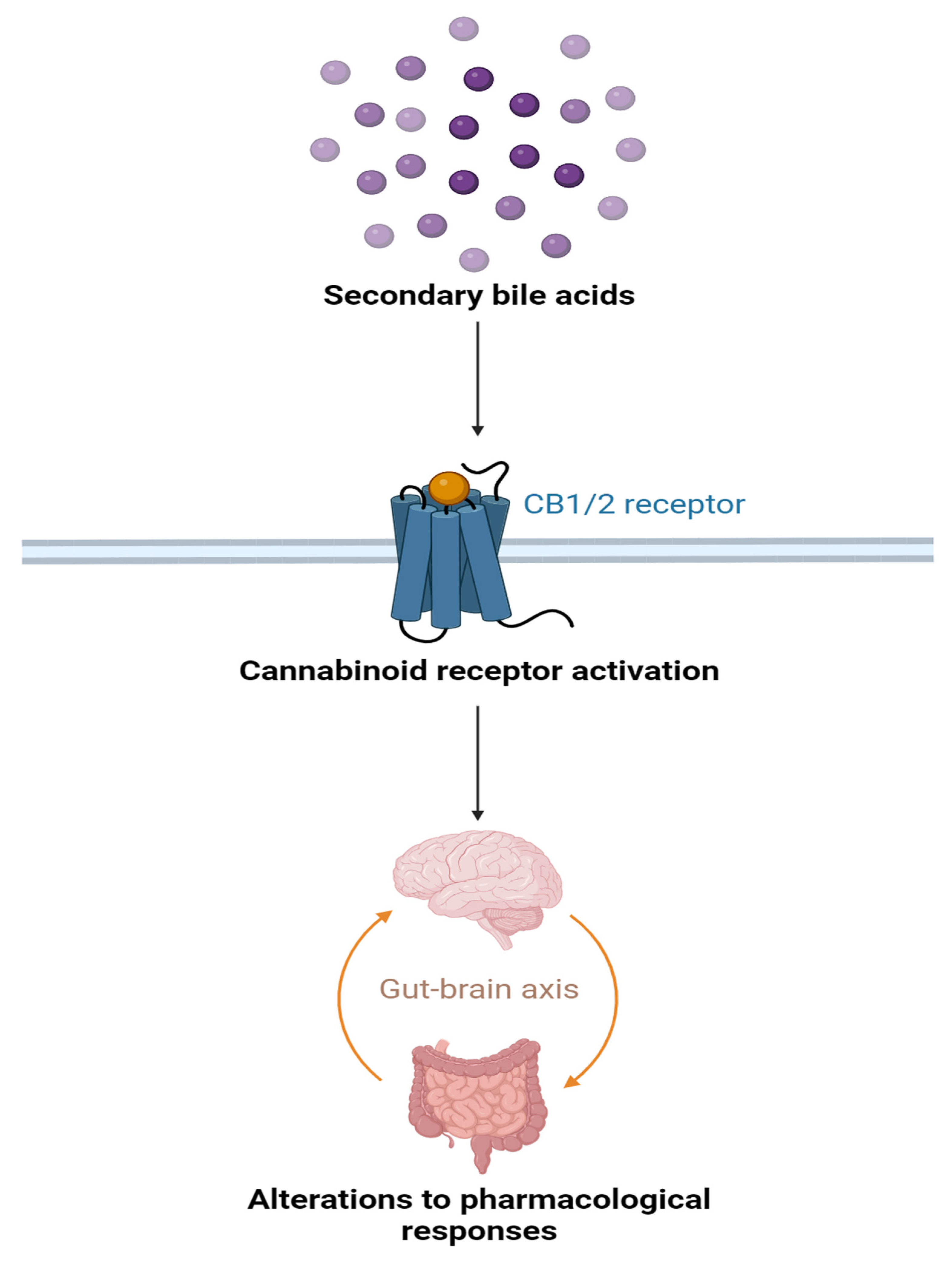 Preprints 92687 g004