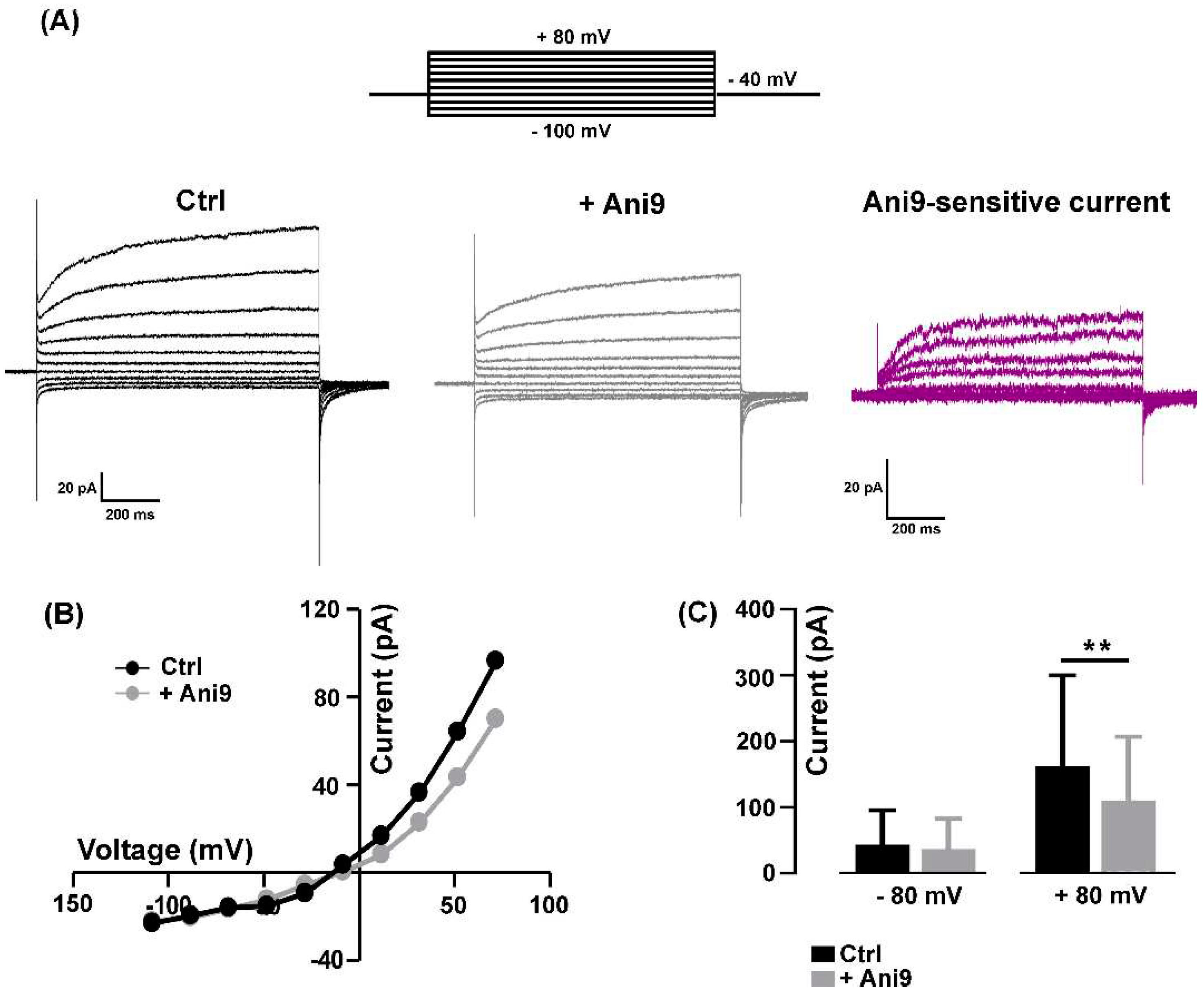 Preprints 96726 g001