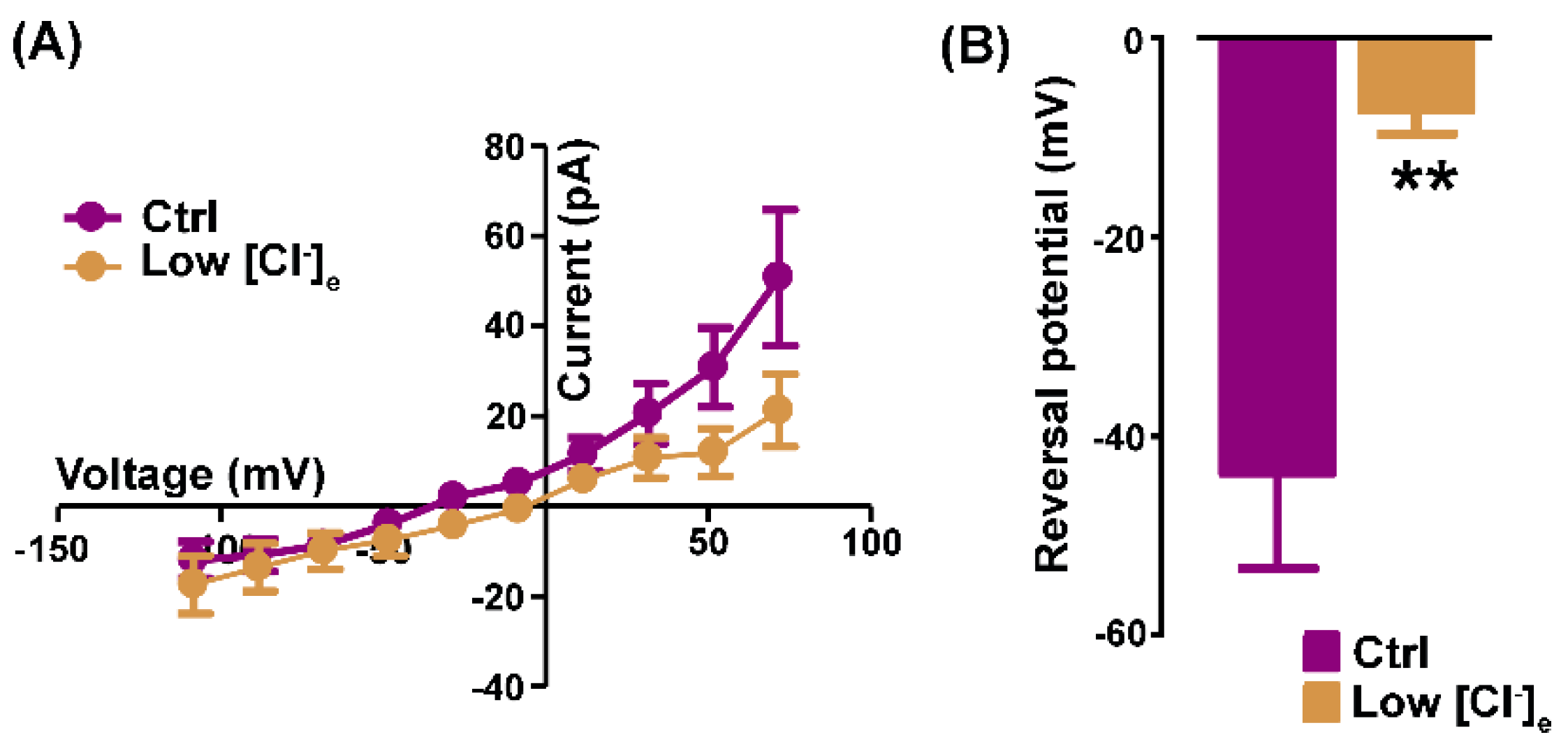 Preprints 96726 g002