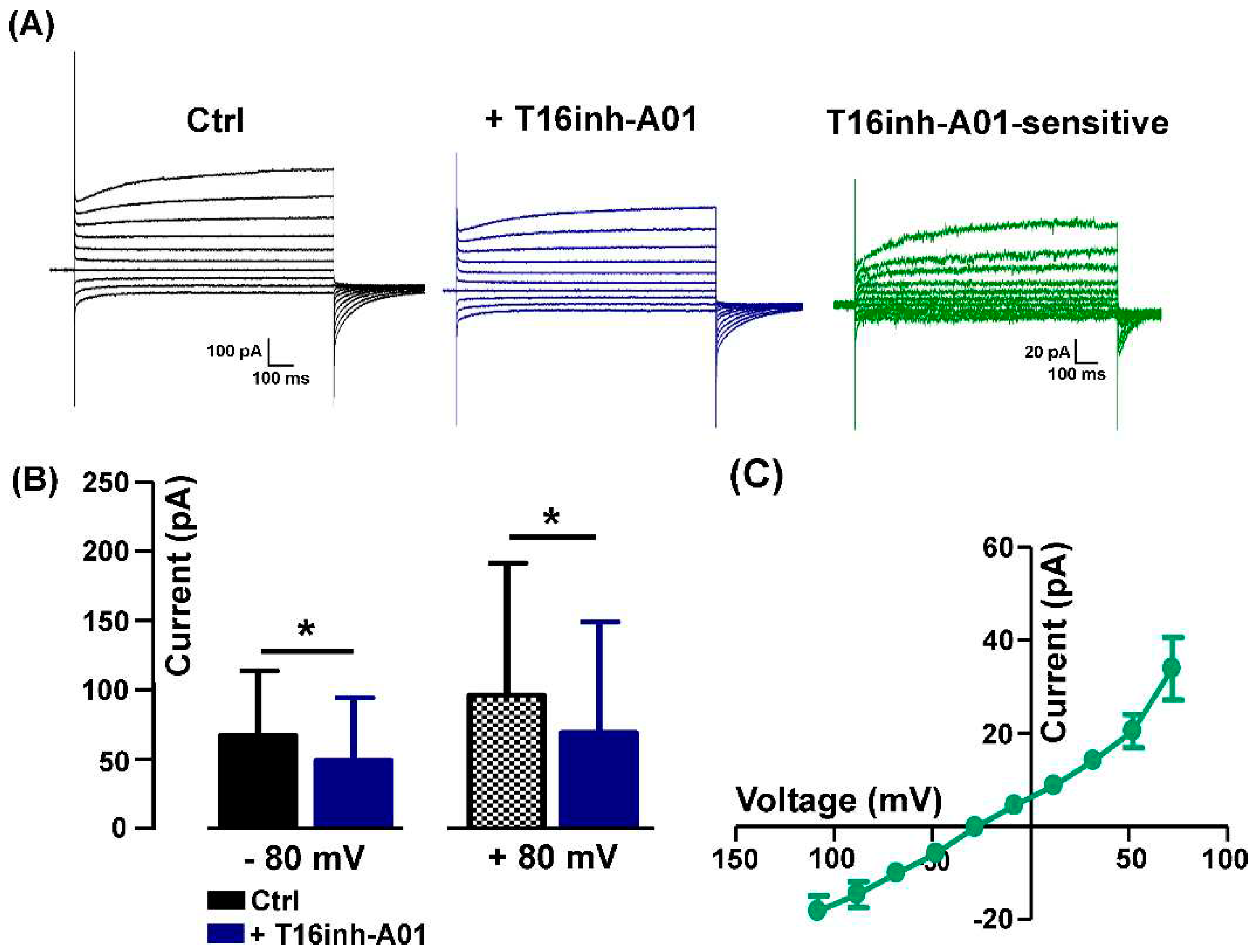 Preprints 96726 g003