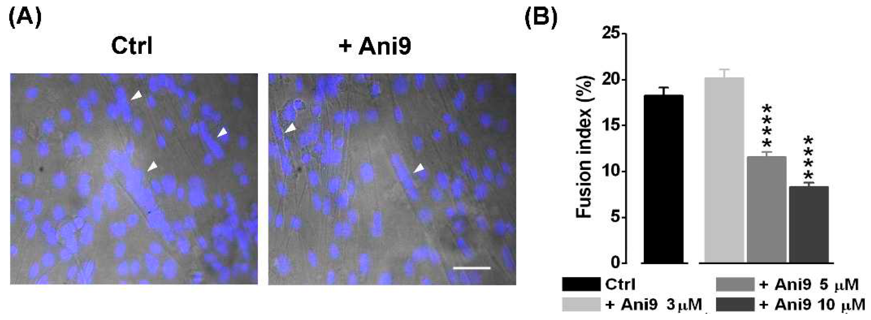 Preprints 96726 g004