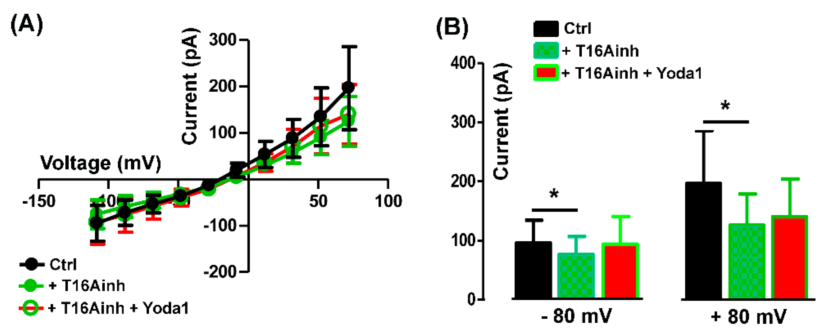 Preprints 96726 g006