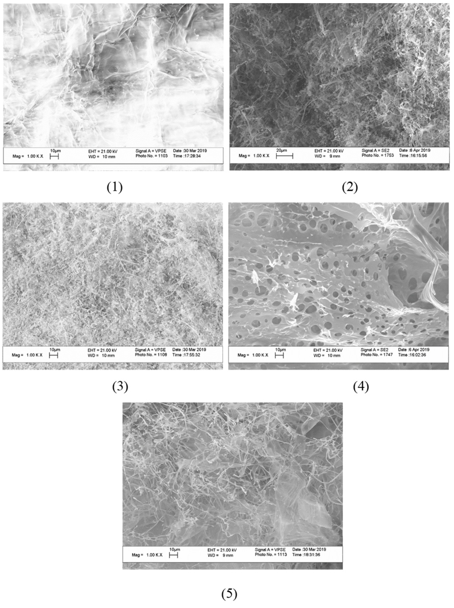 Preprints 68437 g006