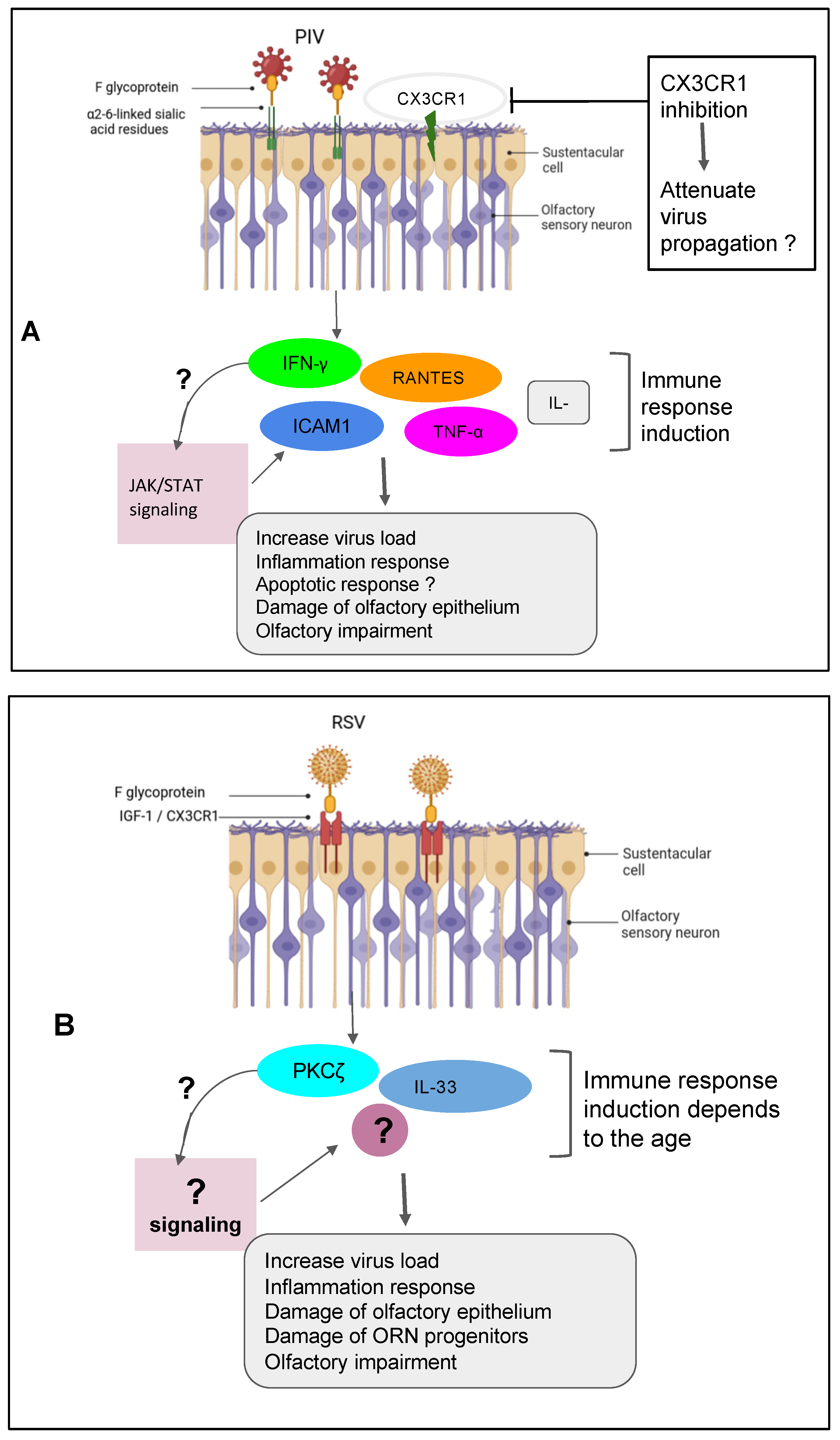 Preprints 87722 g001a