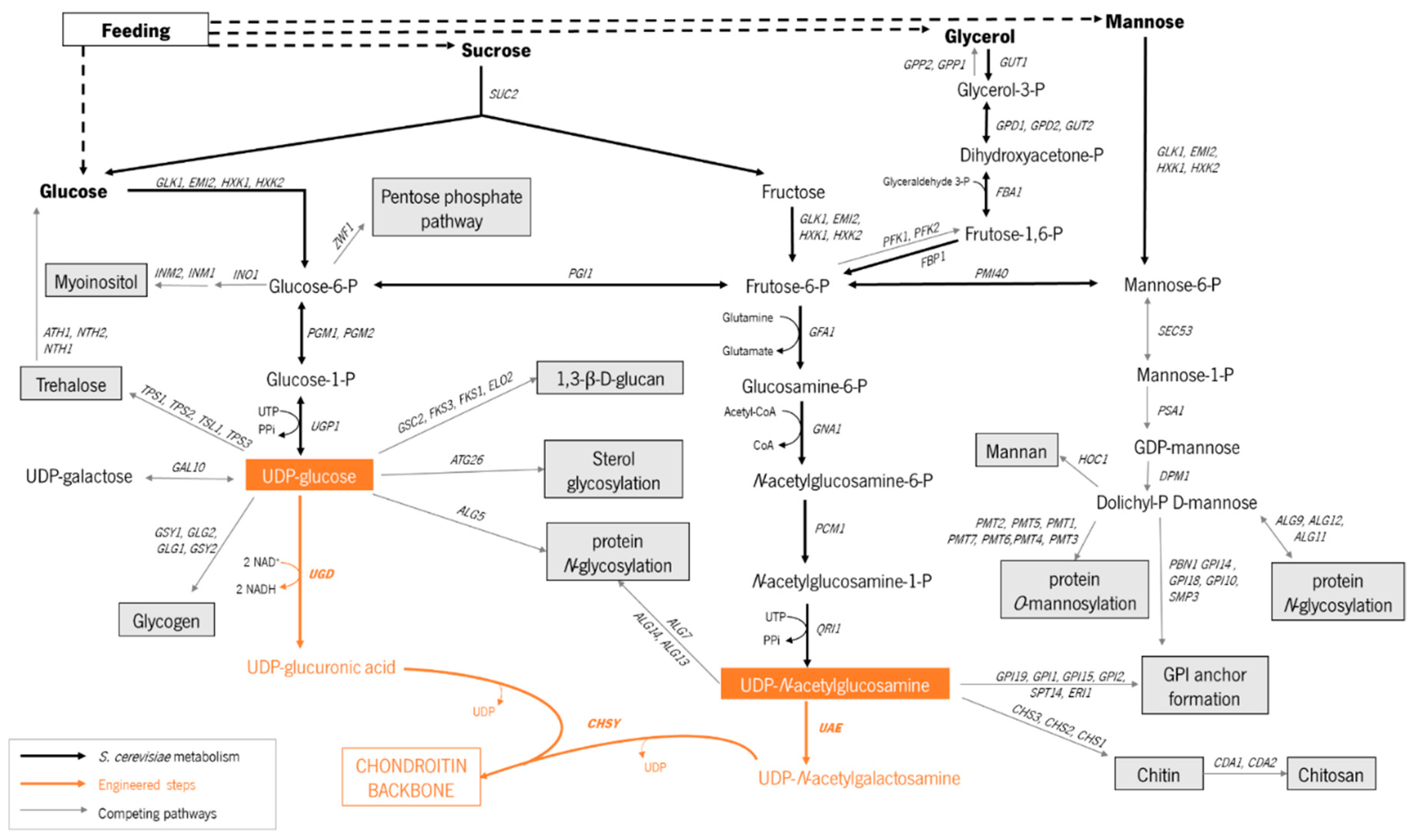 Preprints 96455 g002